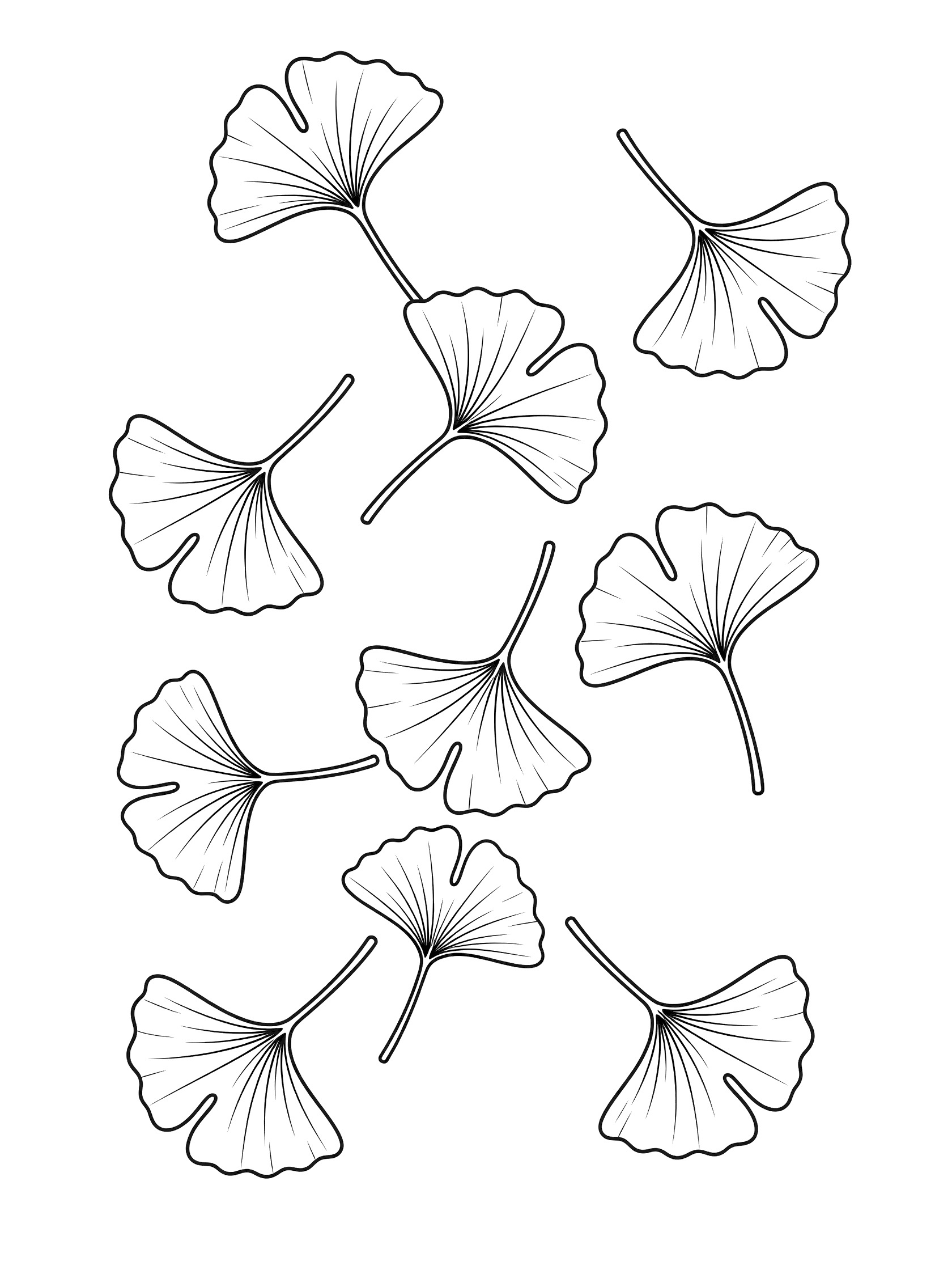 Black and white line art coloring page of several ginkgo leaves falling in different directions on white background. Ginkgo Leaf themed black and white printable line art