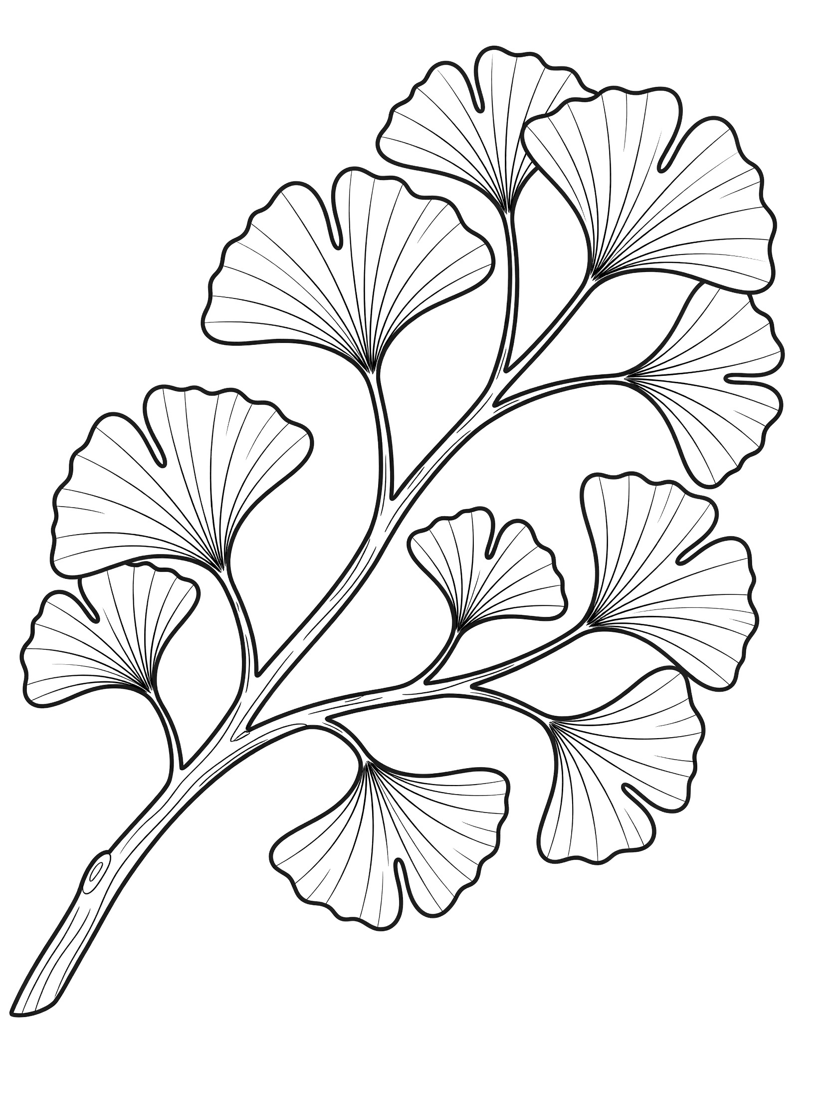 Black and white line drawing of a curving ginkgo tree branch with several fan-shaped leaves. Ginkgo Leaf themed black and white printable line art