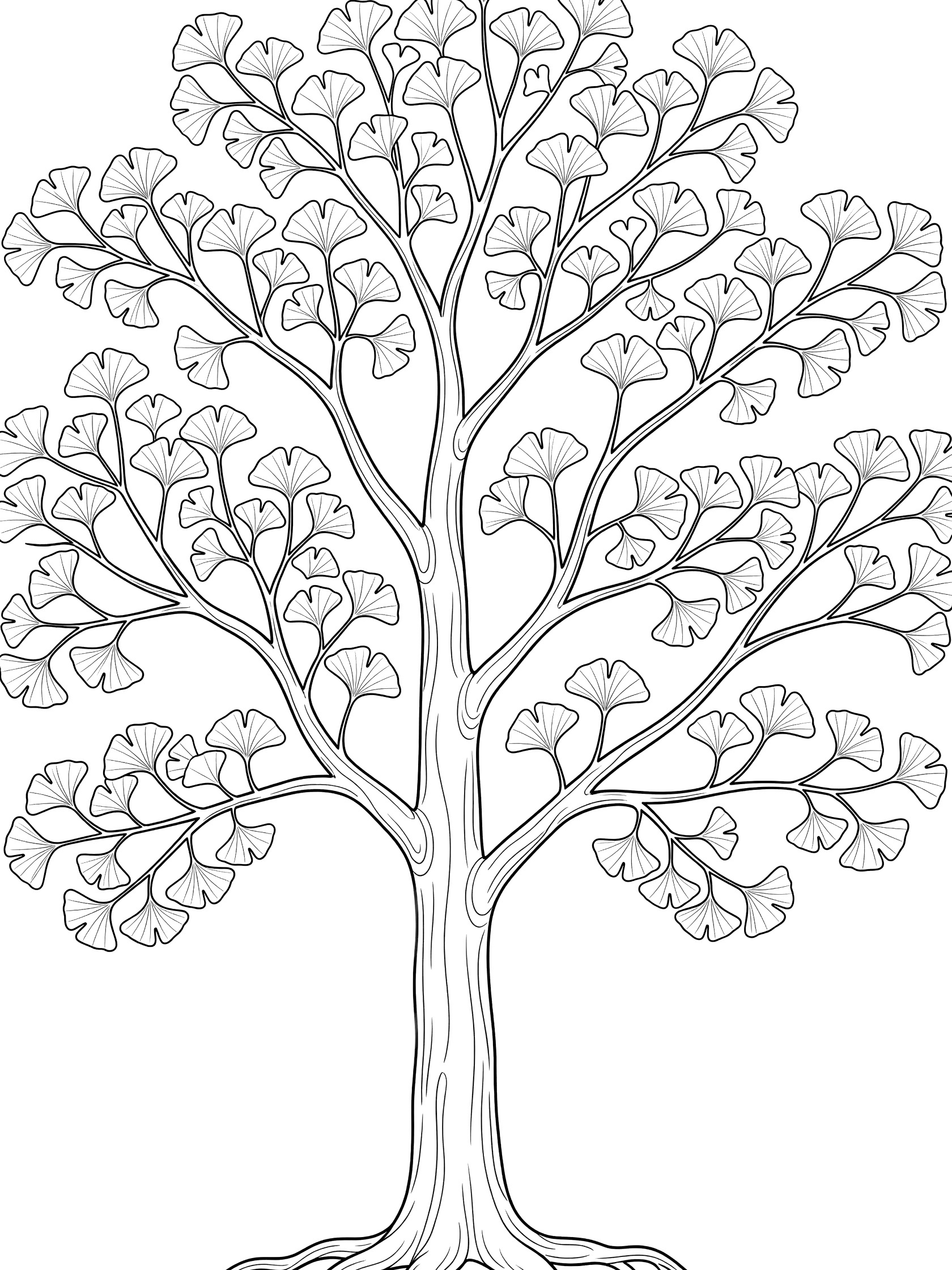 Black and white line art coloring page of a tall ginkgo tree with fan leaves, thick trunk, branches, and roots on white background. Ginkgo Leaf themed black and white printable line art