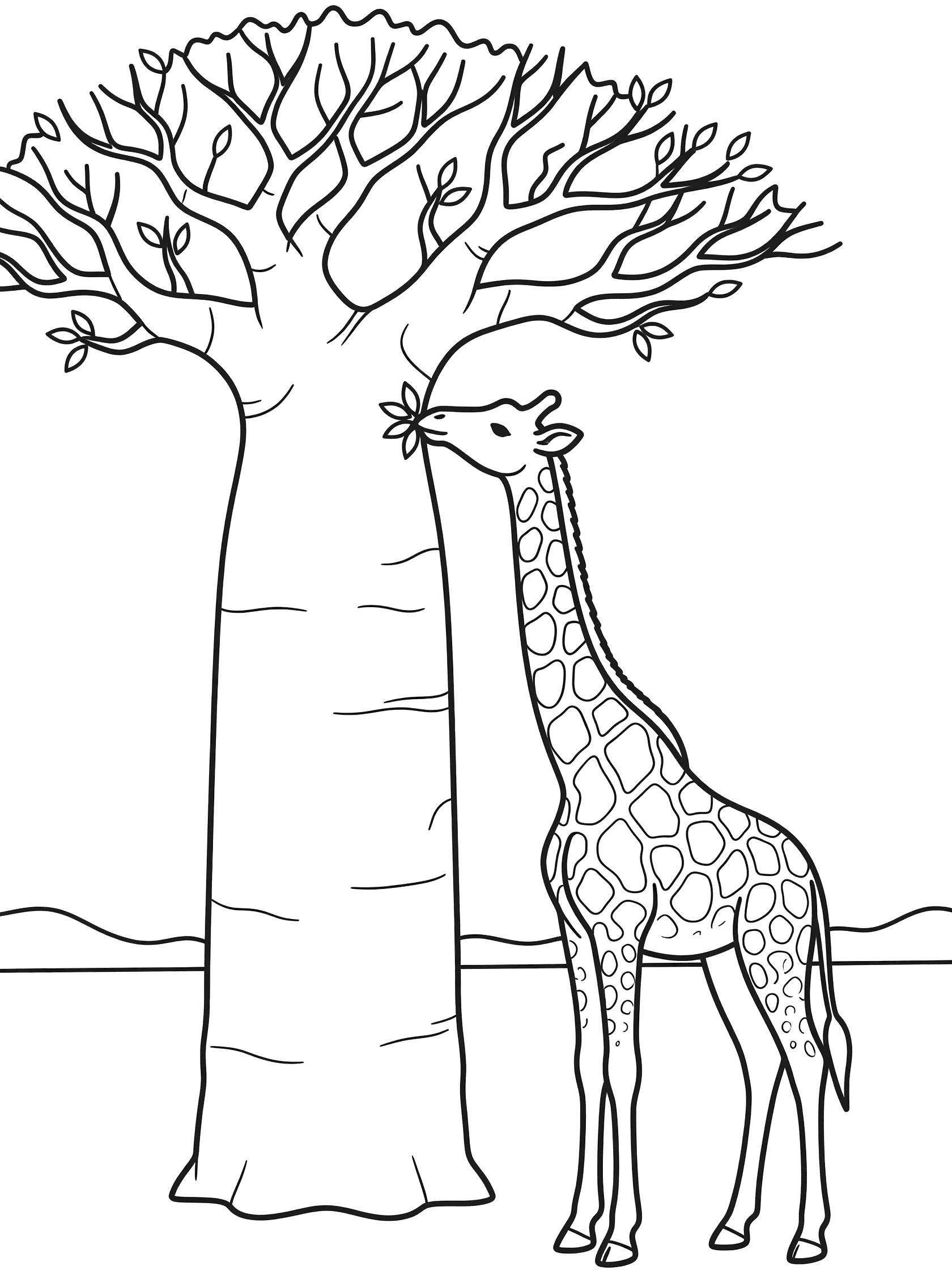Black and white line art coloring page showing a giraffe reaching up to nibble leaves on a tall baobab tree with thick trunk and branches, simple ground line.