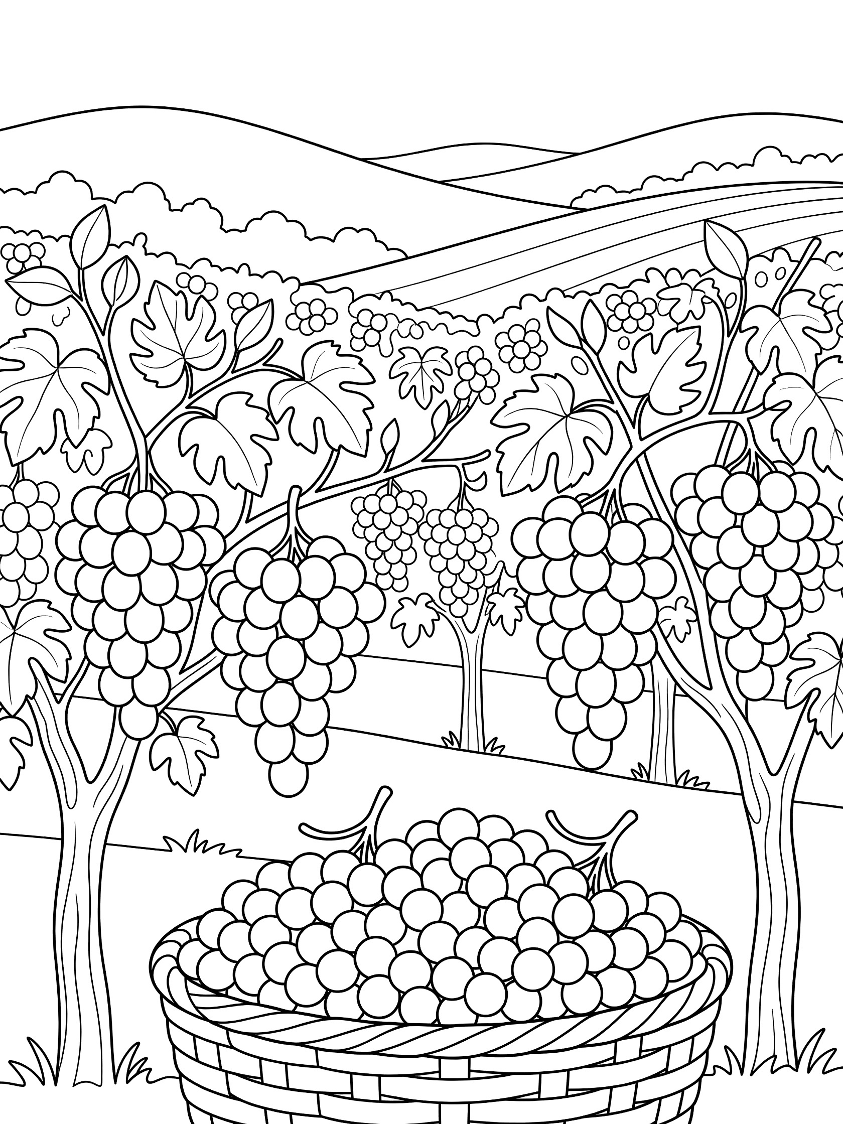 Black-and-white line art coloring page showing grapevines with heavy clusters of grapes, a woven basket filled with grapes, and rolling hills in a vineyard.
