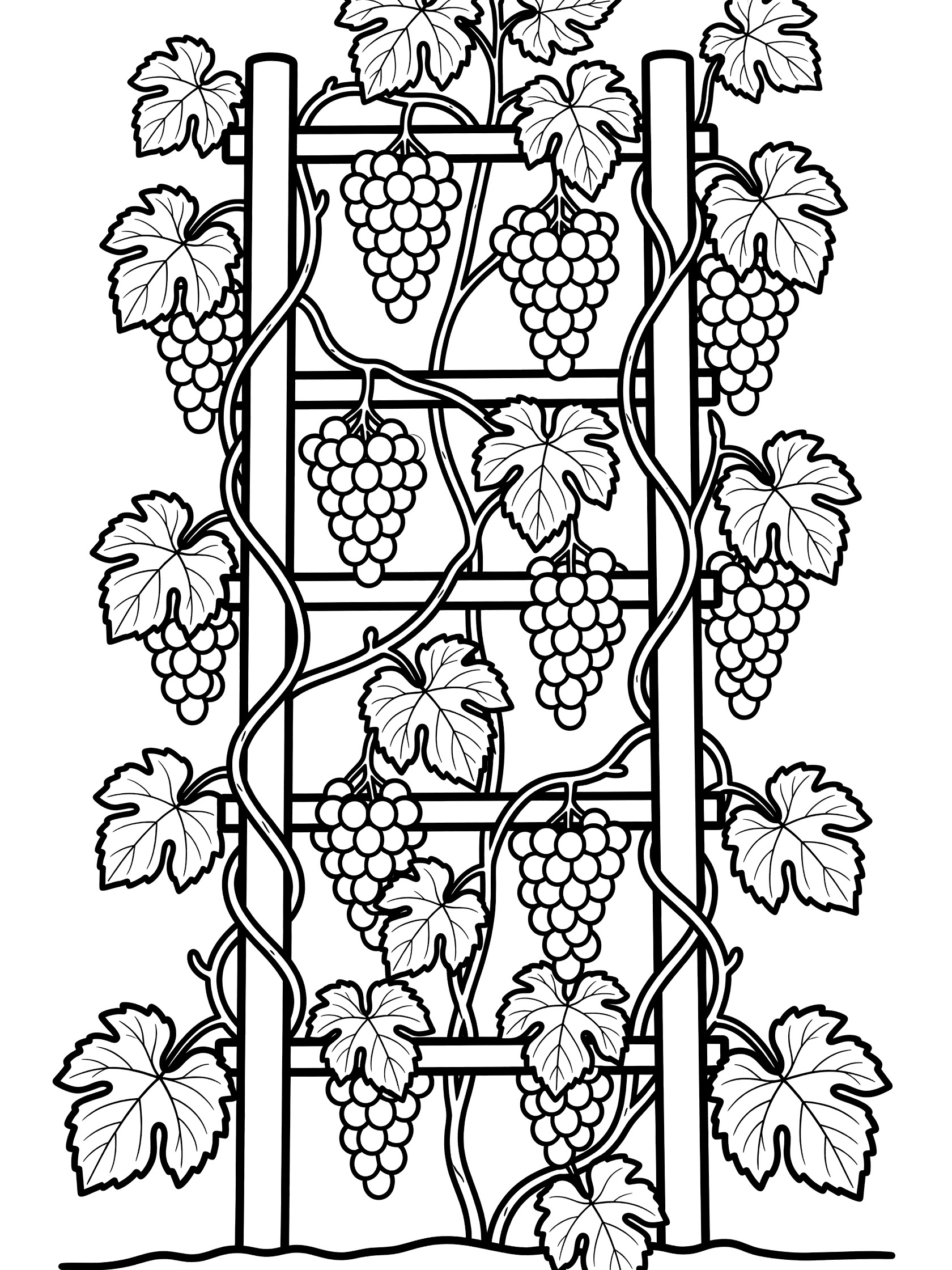 Line art coloring page showing a garden trellis covered in twisting grapevines with dangling grape clusters and broad leaves