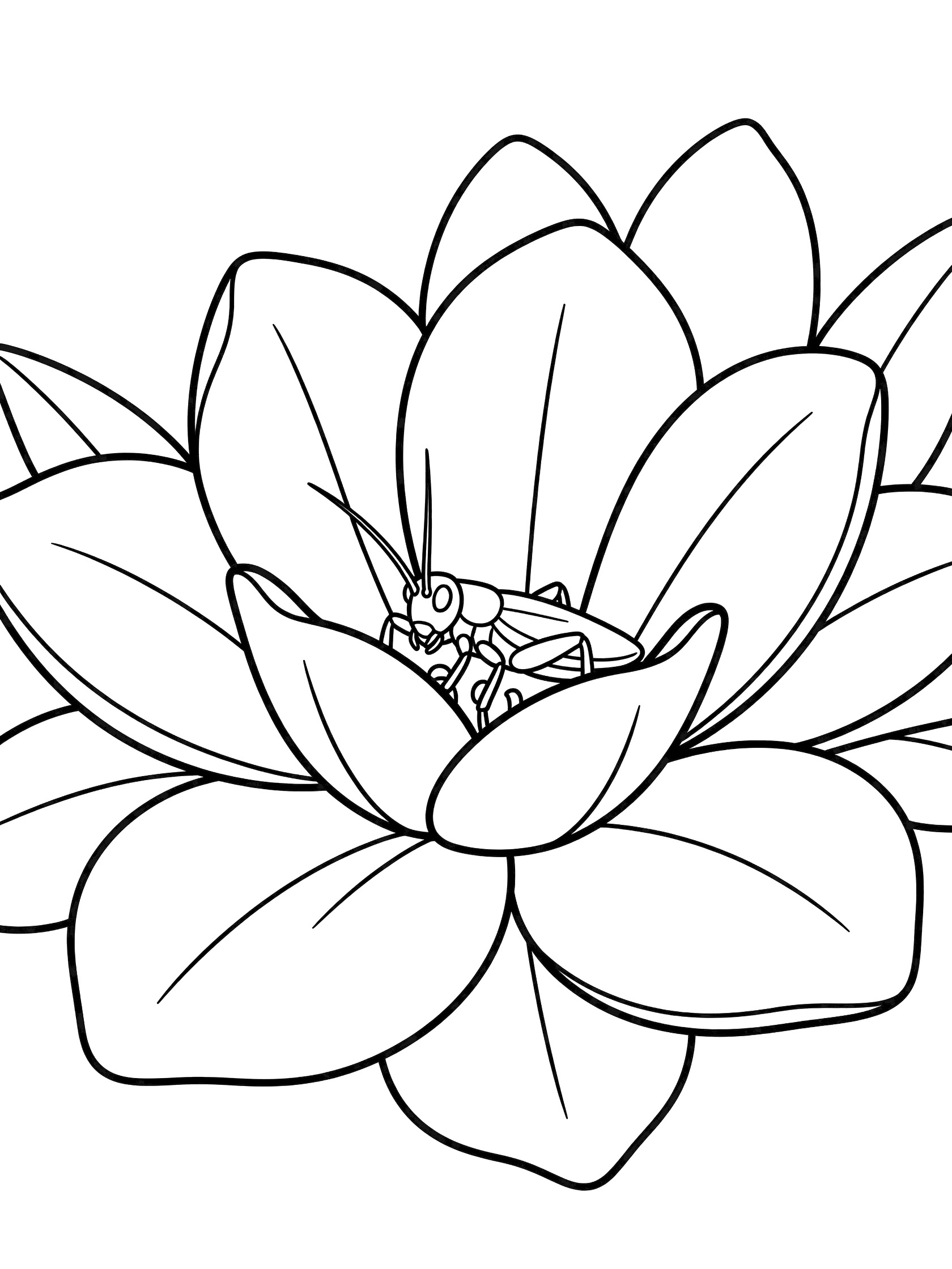 Black and white line art coloring page showing a grasshopper inside a large flower with unfurled petals. Cricket themed black and white printable line art