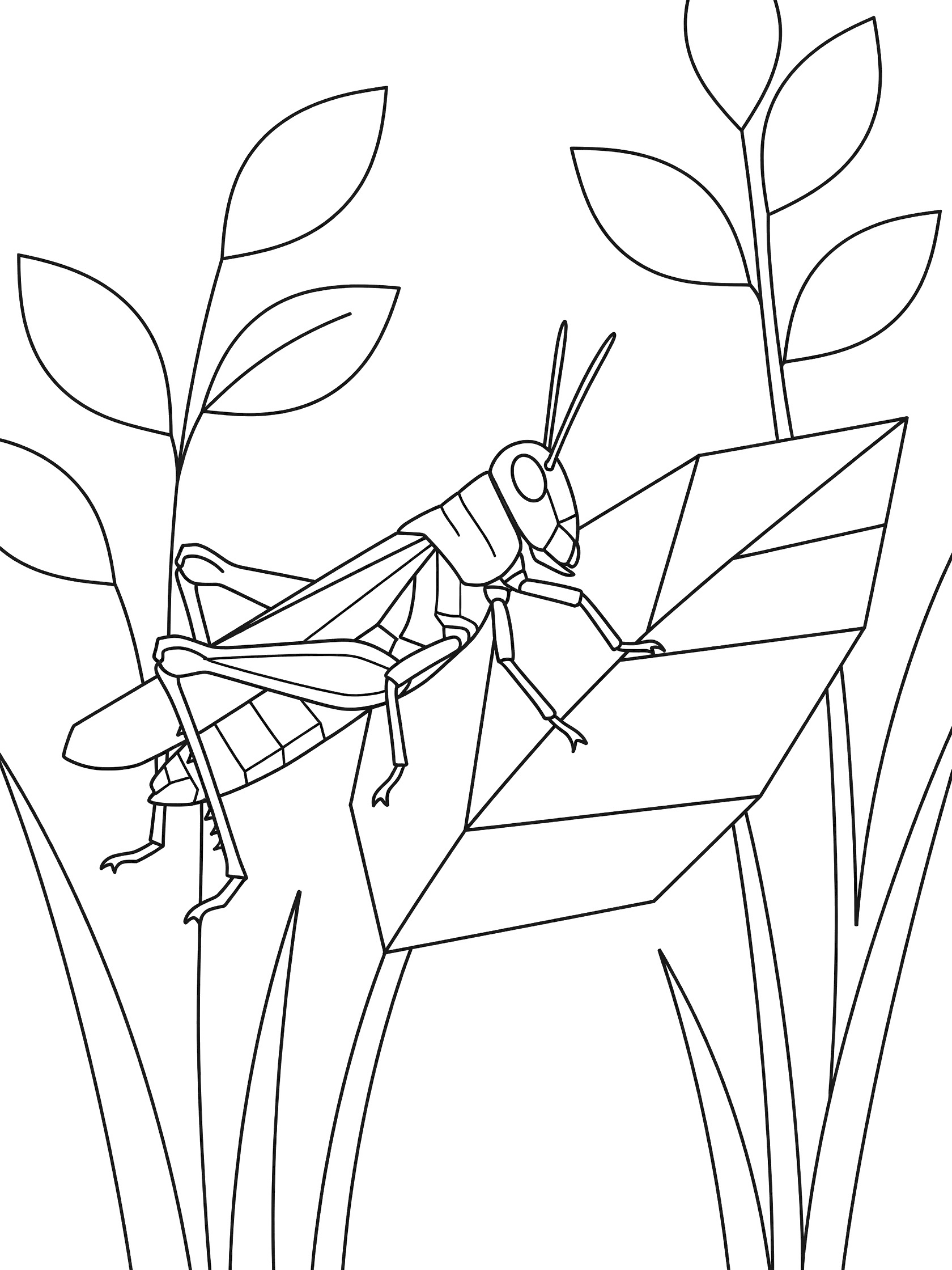 Black and white line art coloring page showing a grasshopper with angled body biting into a geometric leaf shape surrounded by simple leaves.