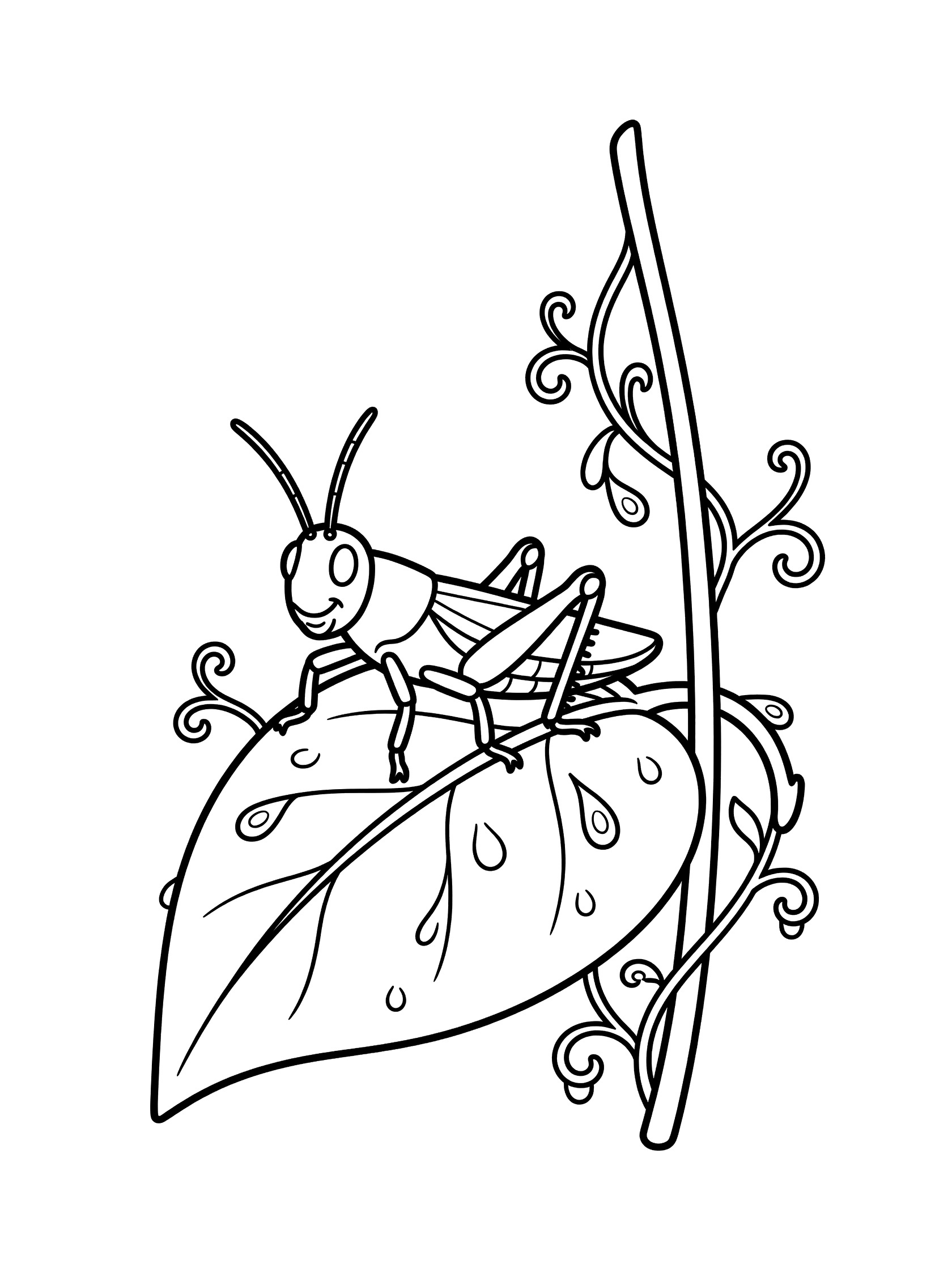 Black and white line art coloring page showing a friendly grasshopper perched on a large leaf with dewdrops and curling vines around a thin stem. Locust themed black and white printable line art