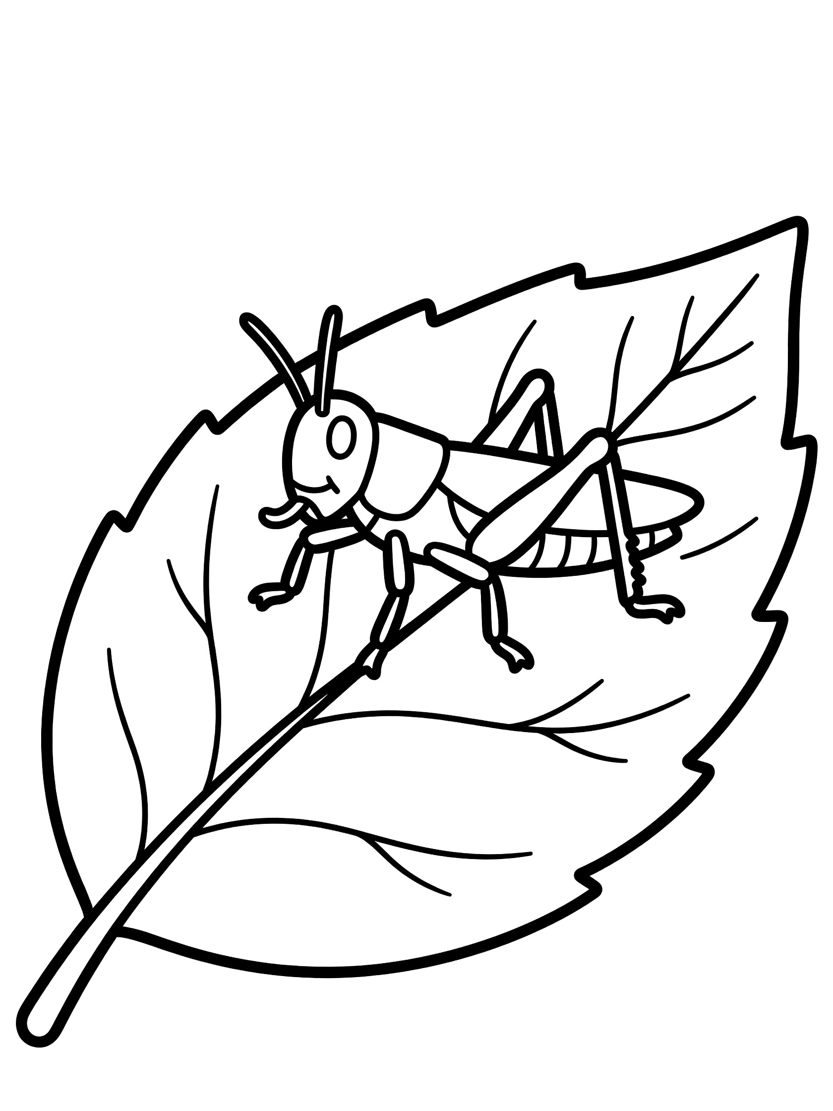 Black and white line art coloring page showing a grasshopper perched on a large leaf with visible veins and simple happy face.