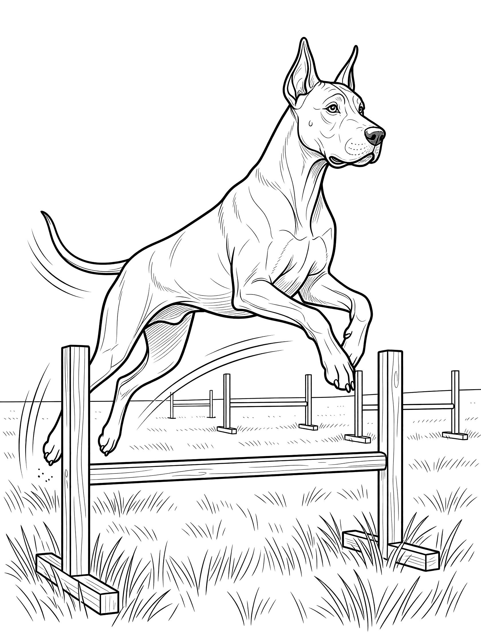 Black and white line drawing of a muscular Great Dane mid-jump over a wooden hurdle, with grass and more hurdles in the background.