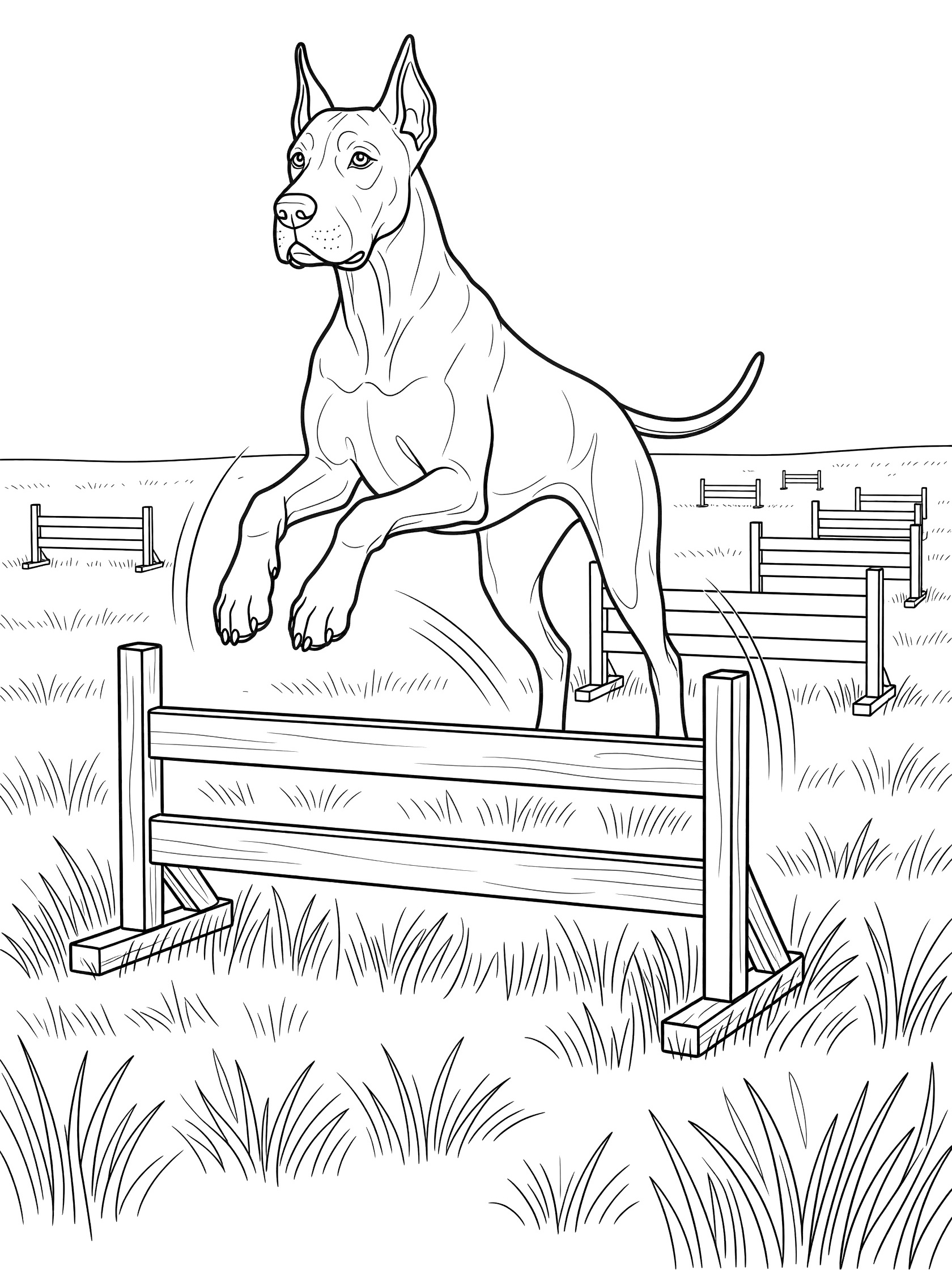 Black and white line drawing of a muscular Great Dane mid-jump over a wooden hurdle, surrounded by grass and distant hurdles on a white background.