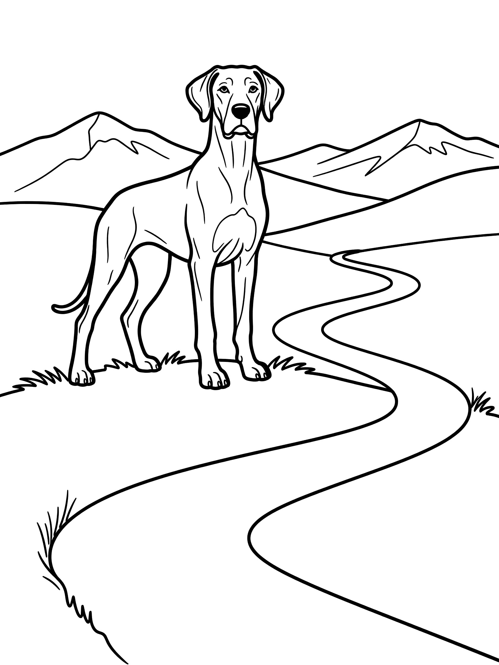 Black and white coloring page of a Great Dane dog standing on a hill overlooking mountains and a winding path