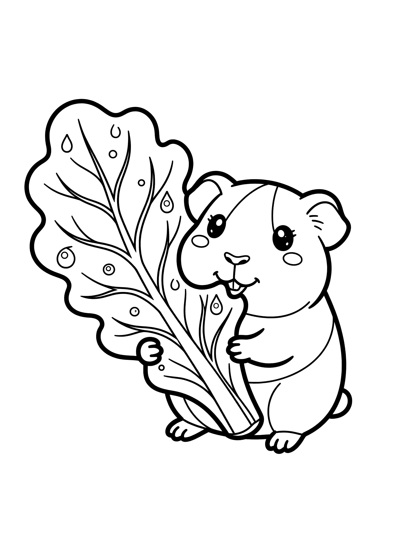 Cute wide-eyed guinea pig biting into a large lettuce leaf with dew drops, black and white line art coloring page. Guinea Pigs themed black and white printable line art