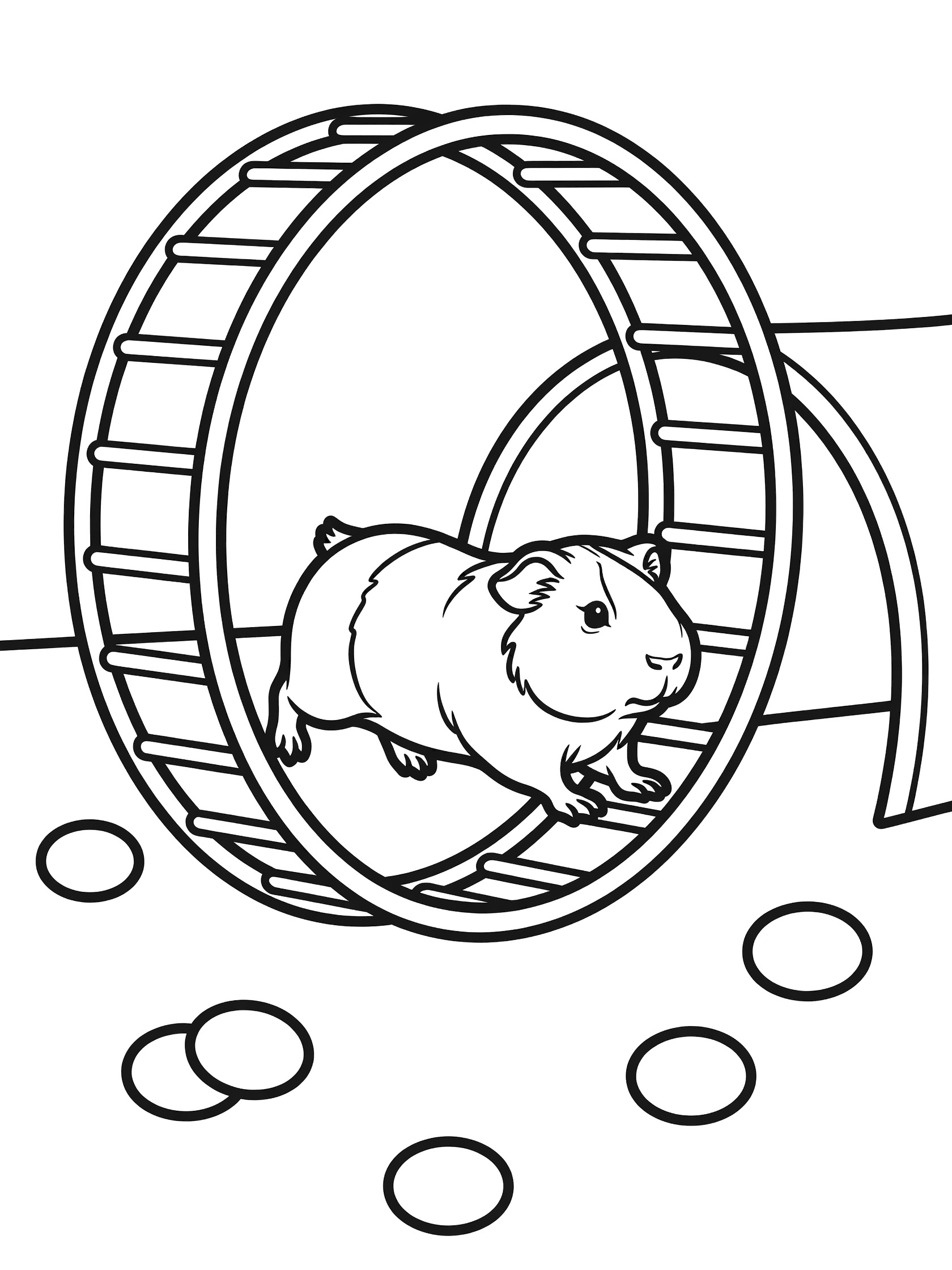 Black and white line art coloring page showing a guinea pig running inside a large exercise wheel, with scattered round pellets on the ground.