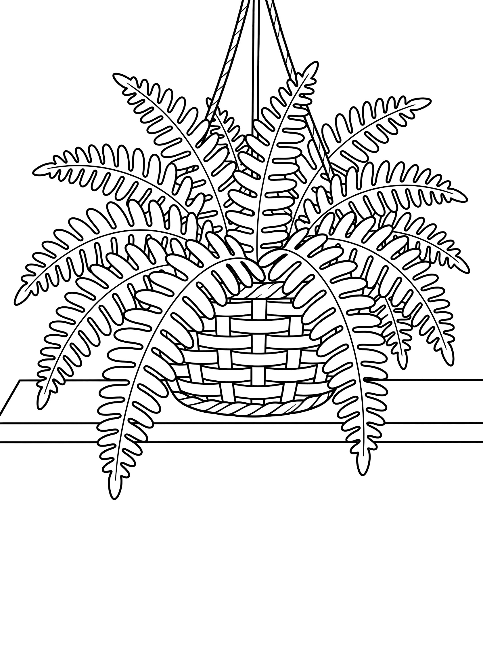 Black and white coloring page of a fern plant with long feathery fronds hanging in a woven basket from ropes next to a windowsill shelf. Boston Fern themed black and white printable line art