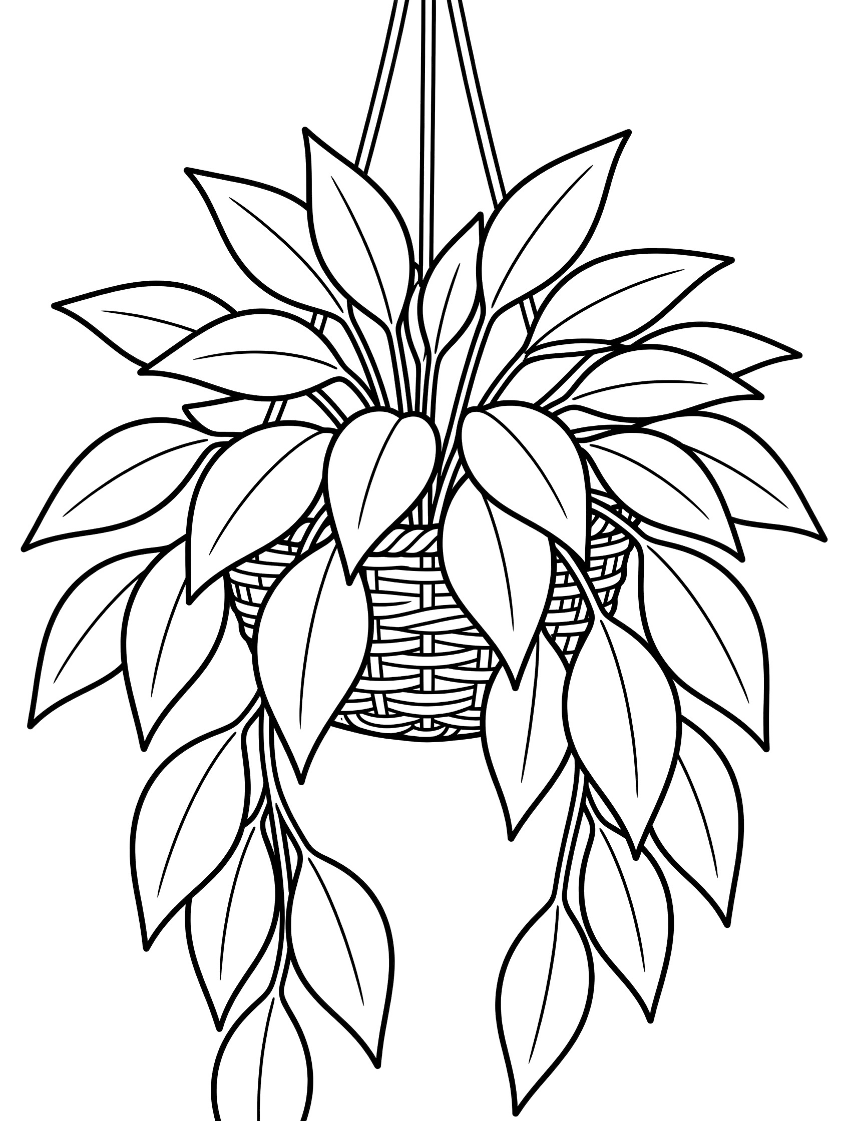 Black and white line art coloring page showing a plant with long pointed leaves hanging down from a woven basket on ropes. Chinese Evergreen themed black and white printable line art