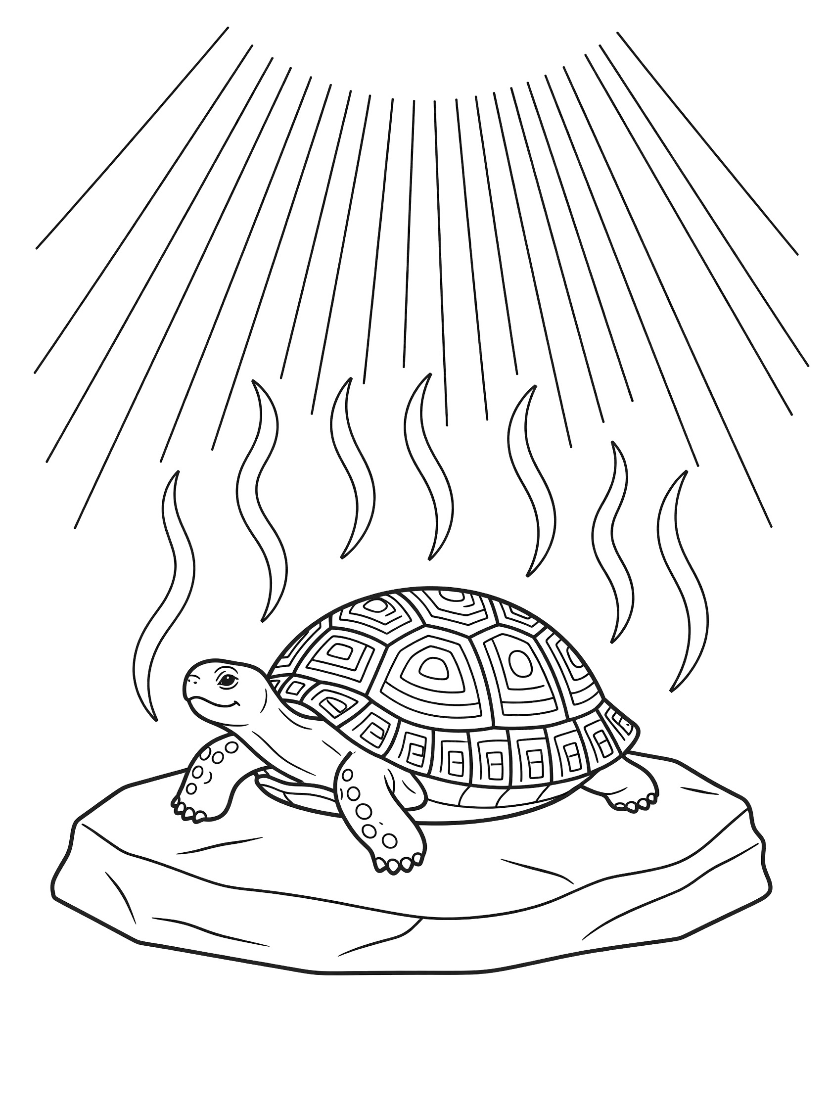 Black and white line art coloring page showing a happy turtle with patterned shell sunbathing on a flat rock, sun rays and wavy heat lines above. Tortoise themed black and white printable line art