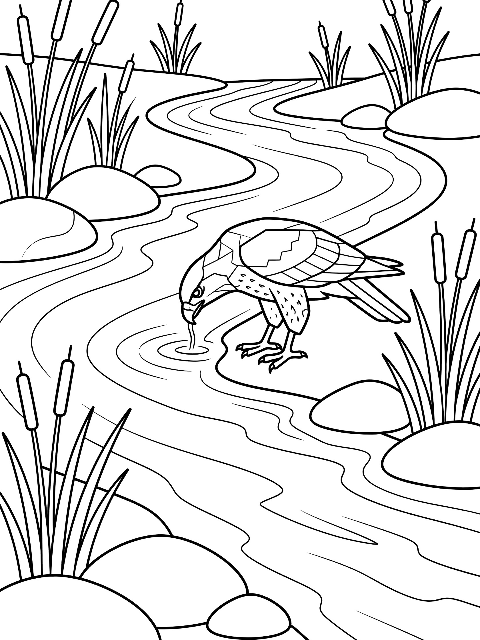 Black and white coloring book page showing a hawk standing by a stream, drinking water with reeds and stones along the edge in simple geometric style.