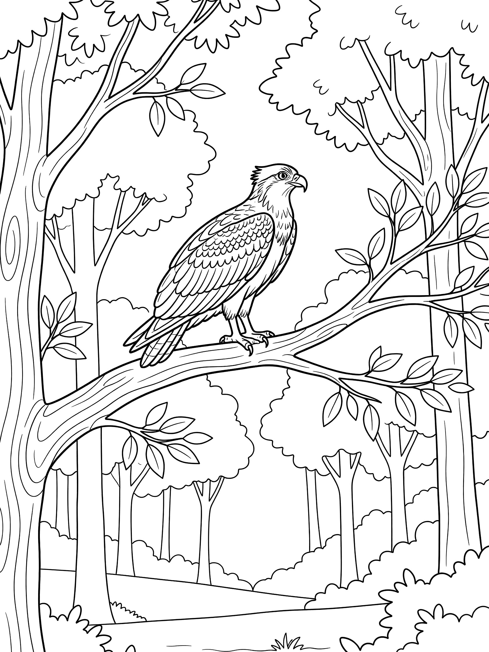 Black and white coloring page showing a detailed hawk sitting on a thick tree branch surrounded by forest trees and leaves. Osprey themed black and white printable line art