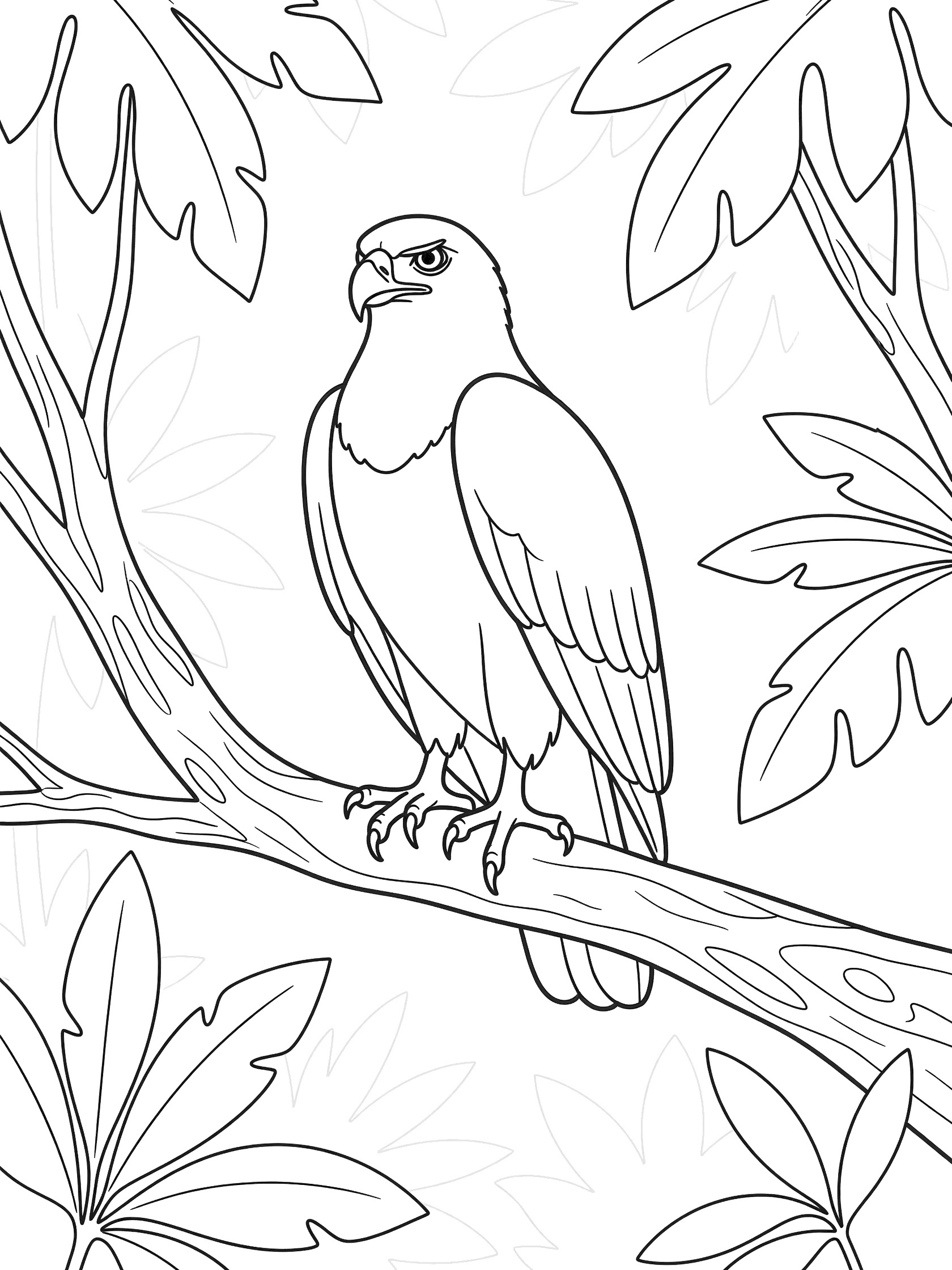 Black and white coloring page showing a hawk gripping a tree branch with talons, wings folded, sharp eyes looking ahead, surrounded by simple leaves. Harpy Eagle themed black and white printable line art