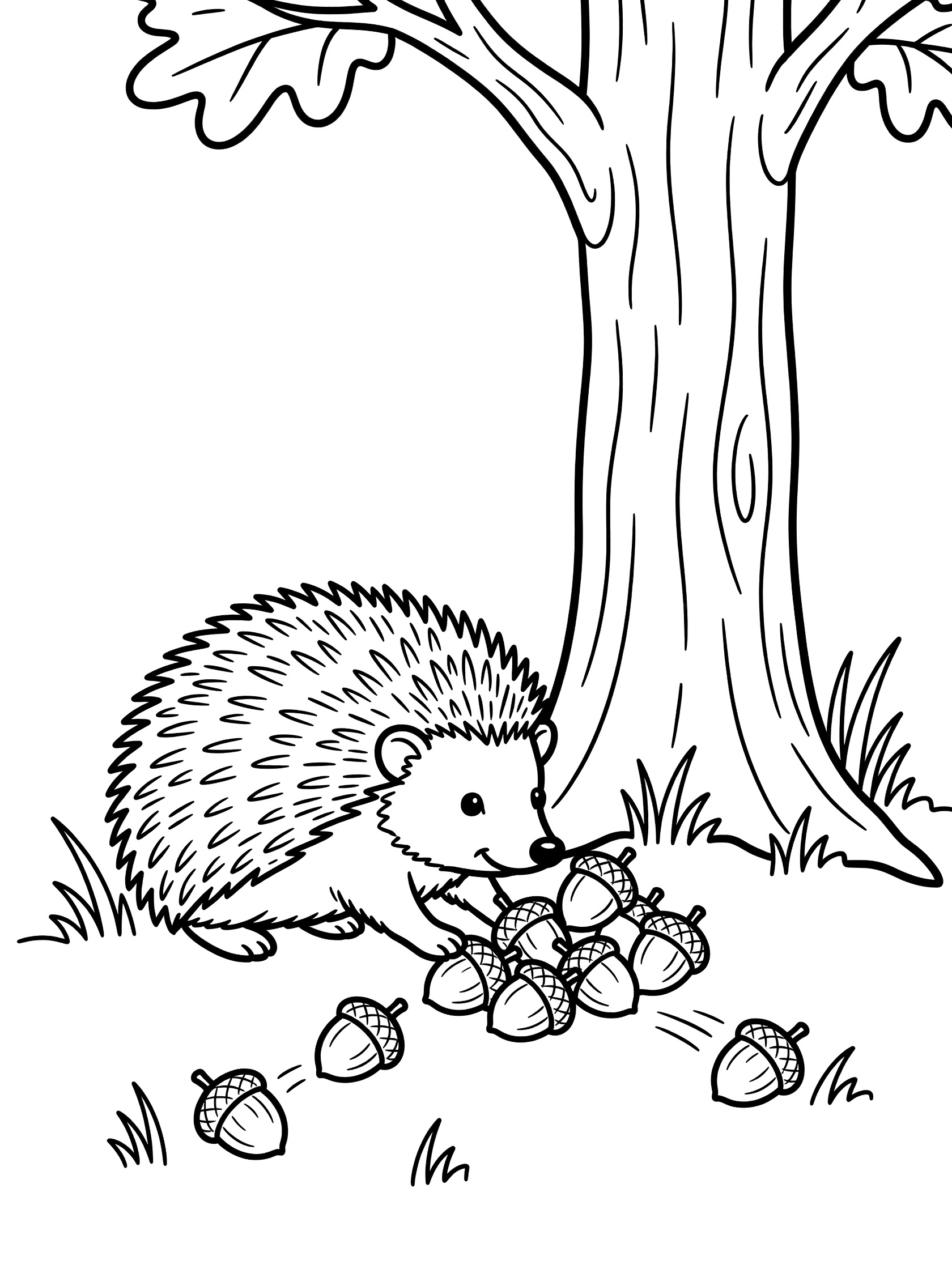 Black and white line art coloring page showing a spiky hedgehog picking up acorns from the ground beside a tall oak tree trunk, with scattered acorns and simple grass blades.