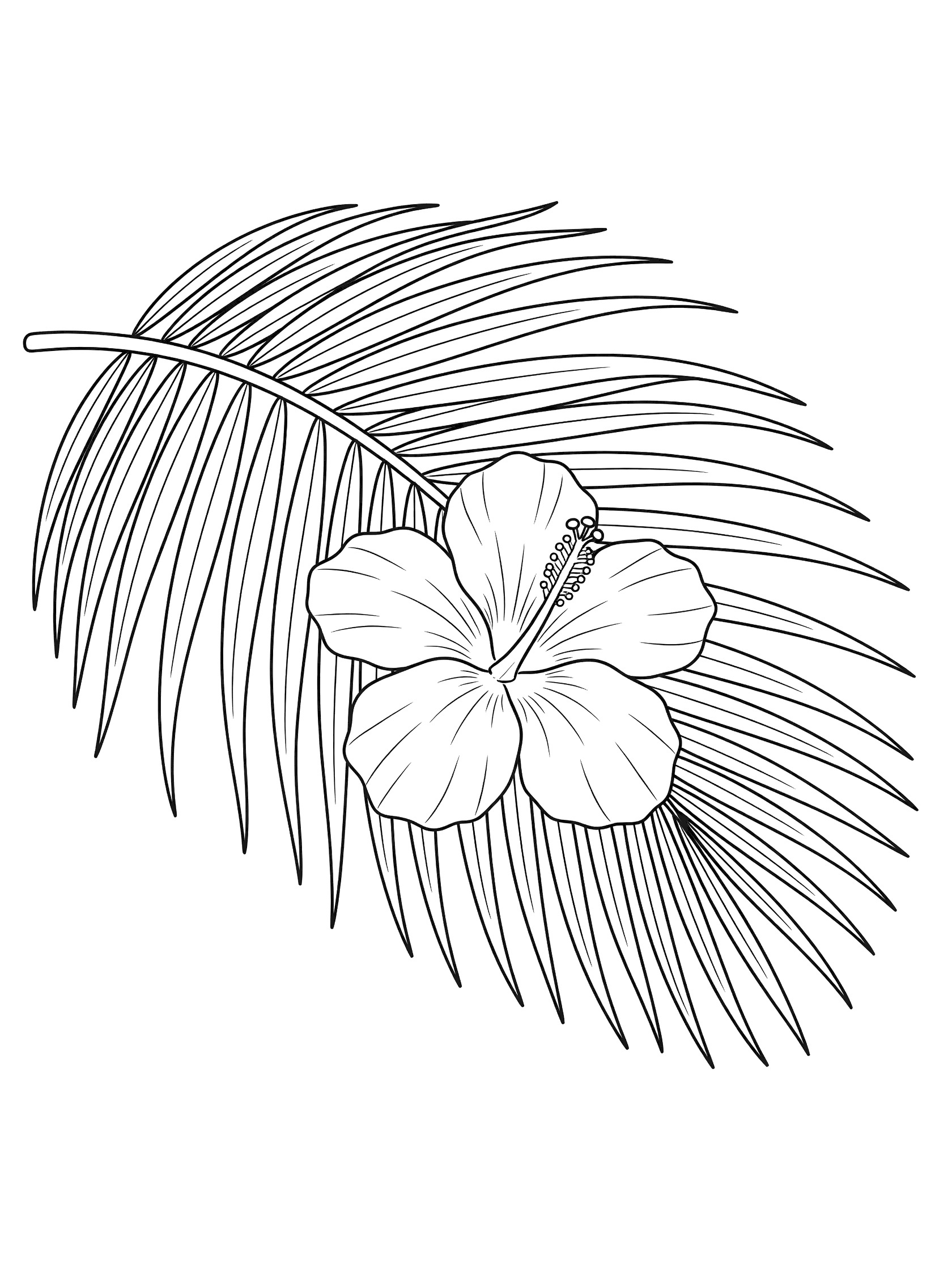 Black and white line drawing of a hibiscus flower with five petals and center beside a large palm leaf with pointed fronds.