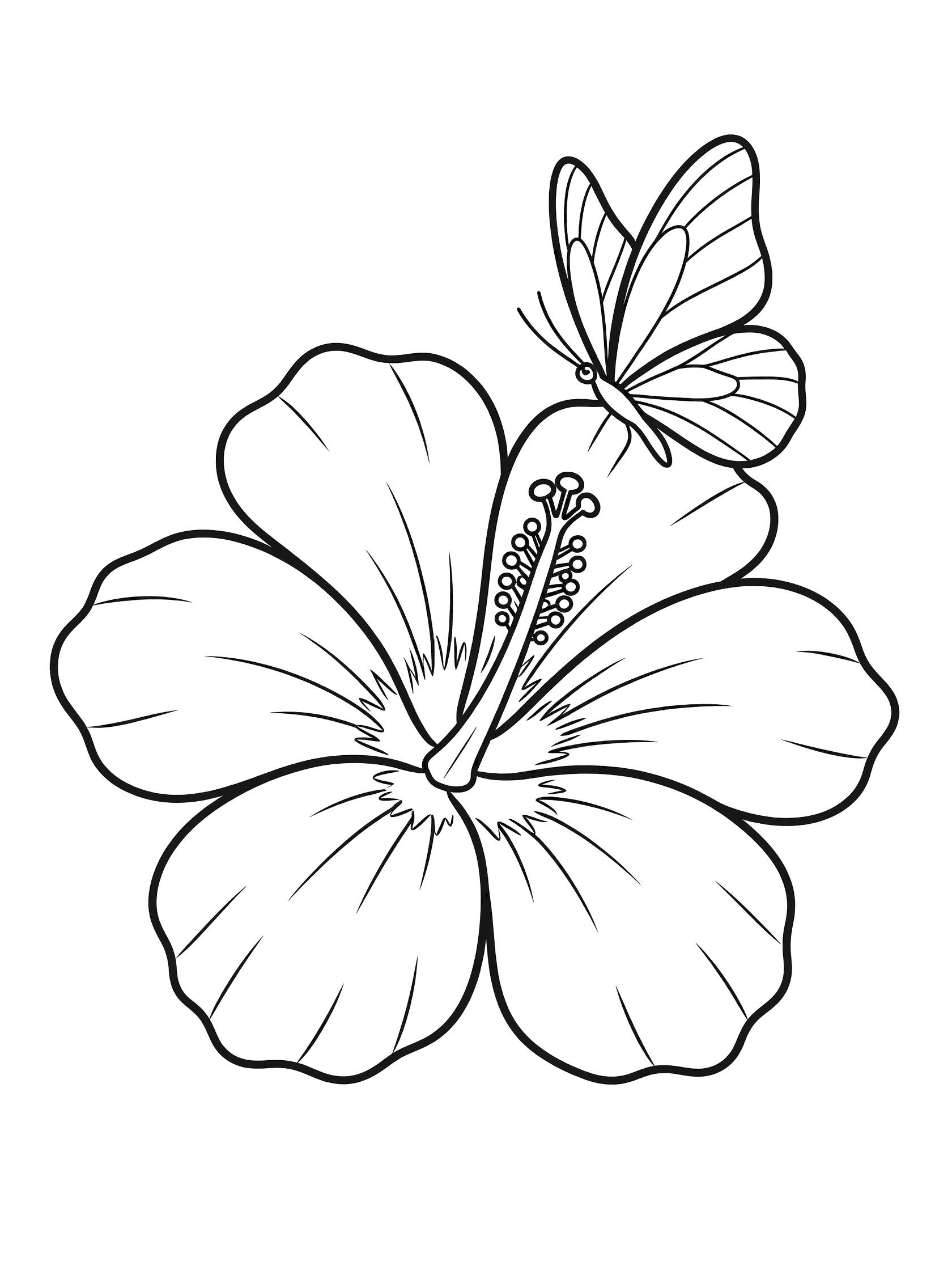 Black and white line drawing of a large hibiscus flower with layered petals and a butterfly perched on one petal with spread wings.