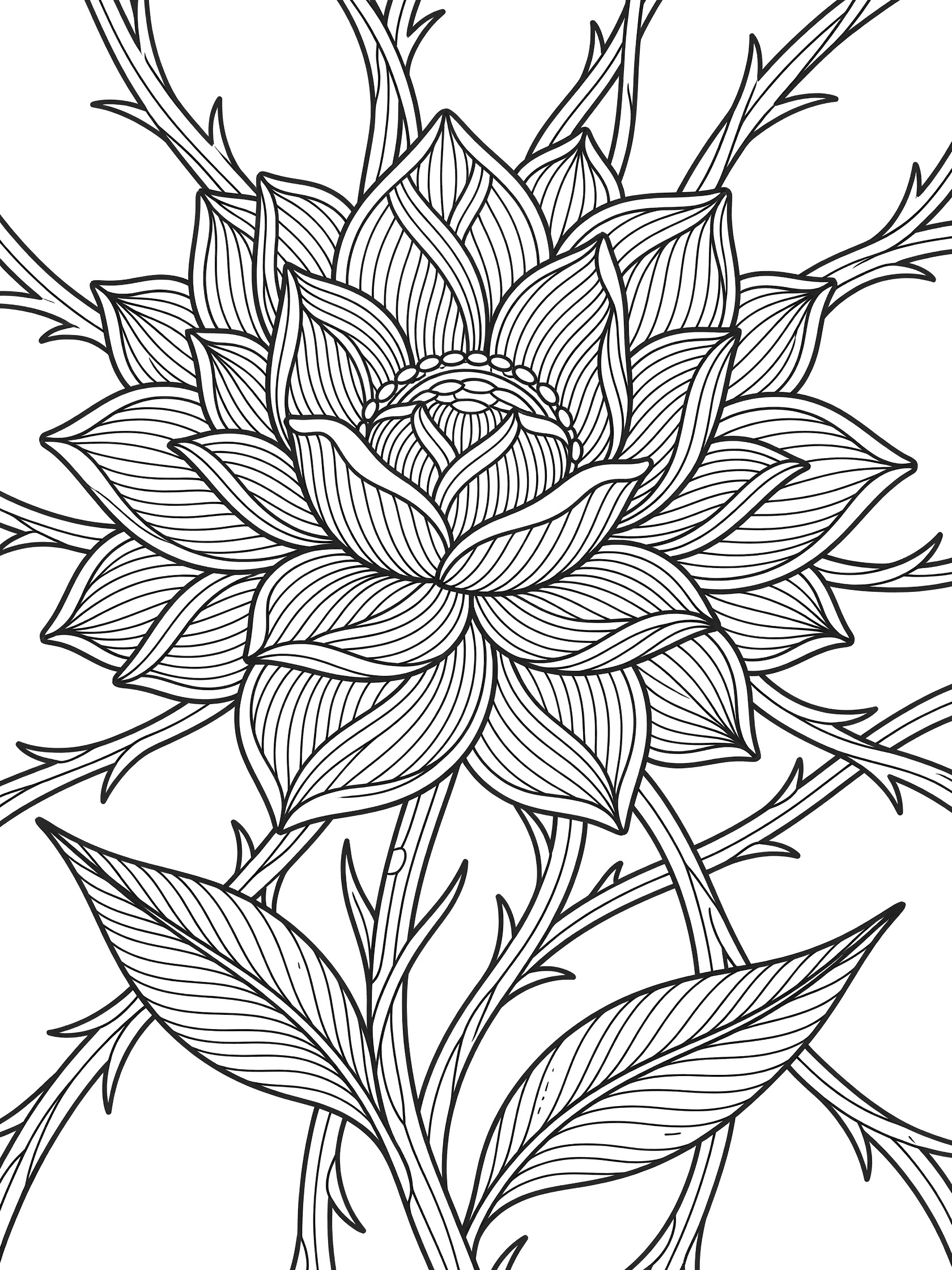 Black and white coloring page of a blooming flower at the center with Hollibaugh ribbon-like patterns forming layered petals, thorny stems, and leaves on white background.