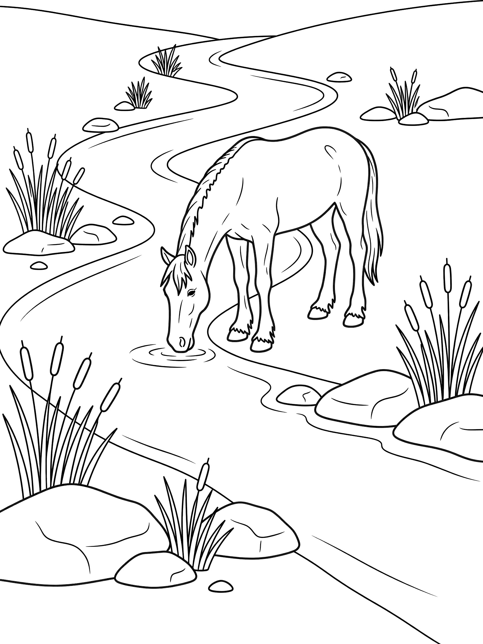Black and white line art coloring page showing a horse with its head lowered drinking water from a curving stream surrounded by rocks and tall reeds. Clydesdale themed black and white printable line art
