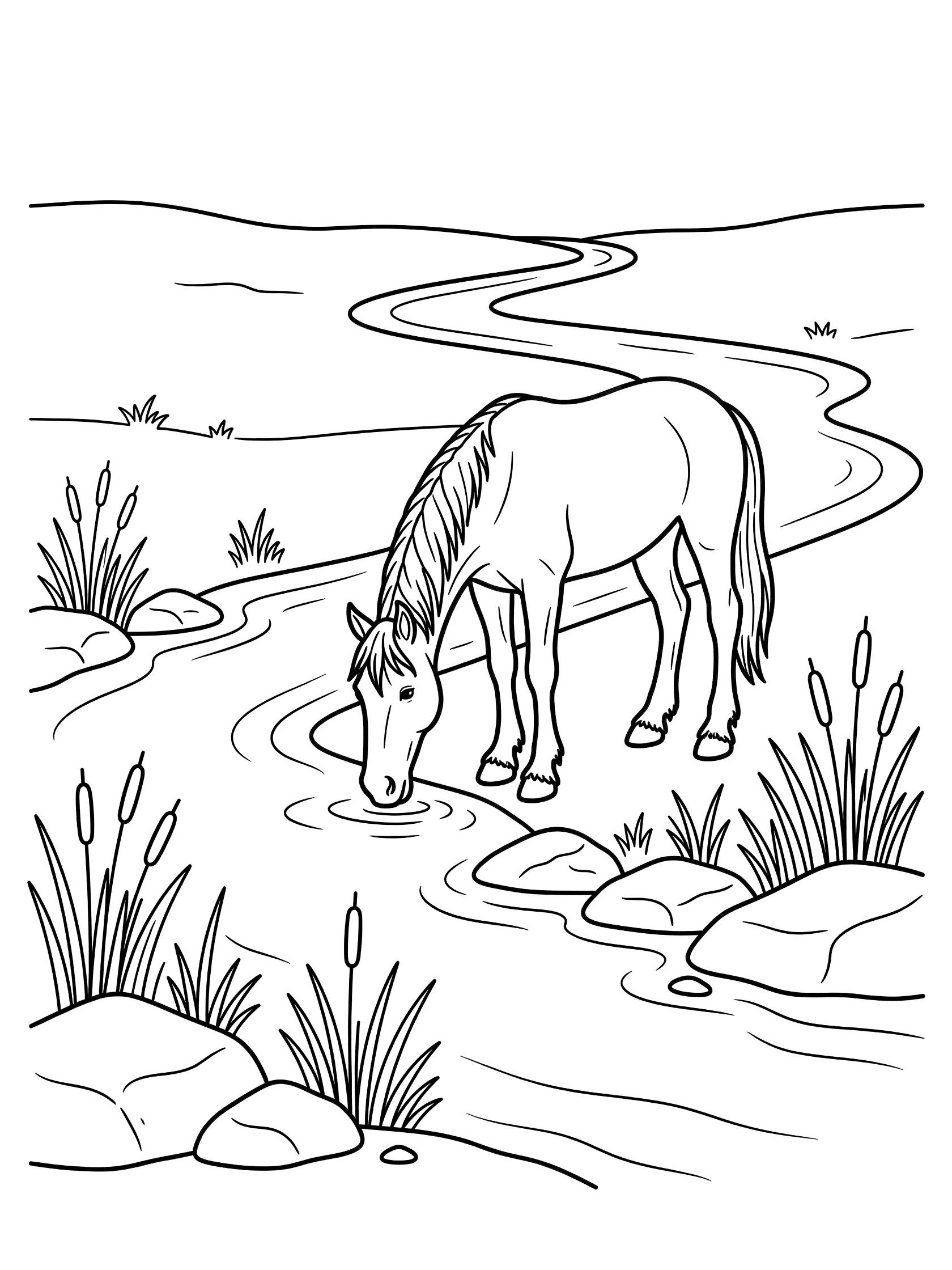 Black and white line art coloring page showing a horse with flowing mane and tail drinking water from a curving stream surrounded by rocks and tall reeds. Clydesdale themed black and white printable line art