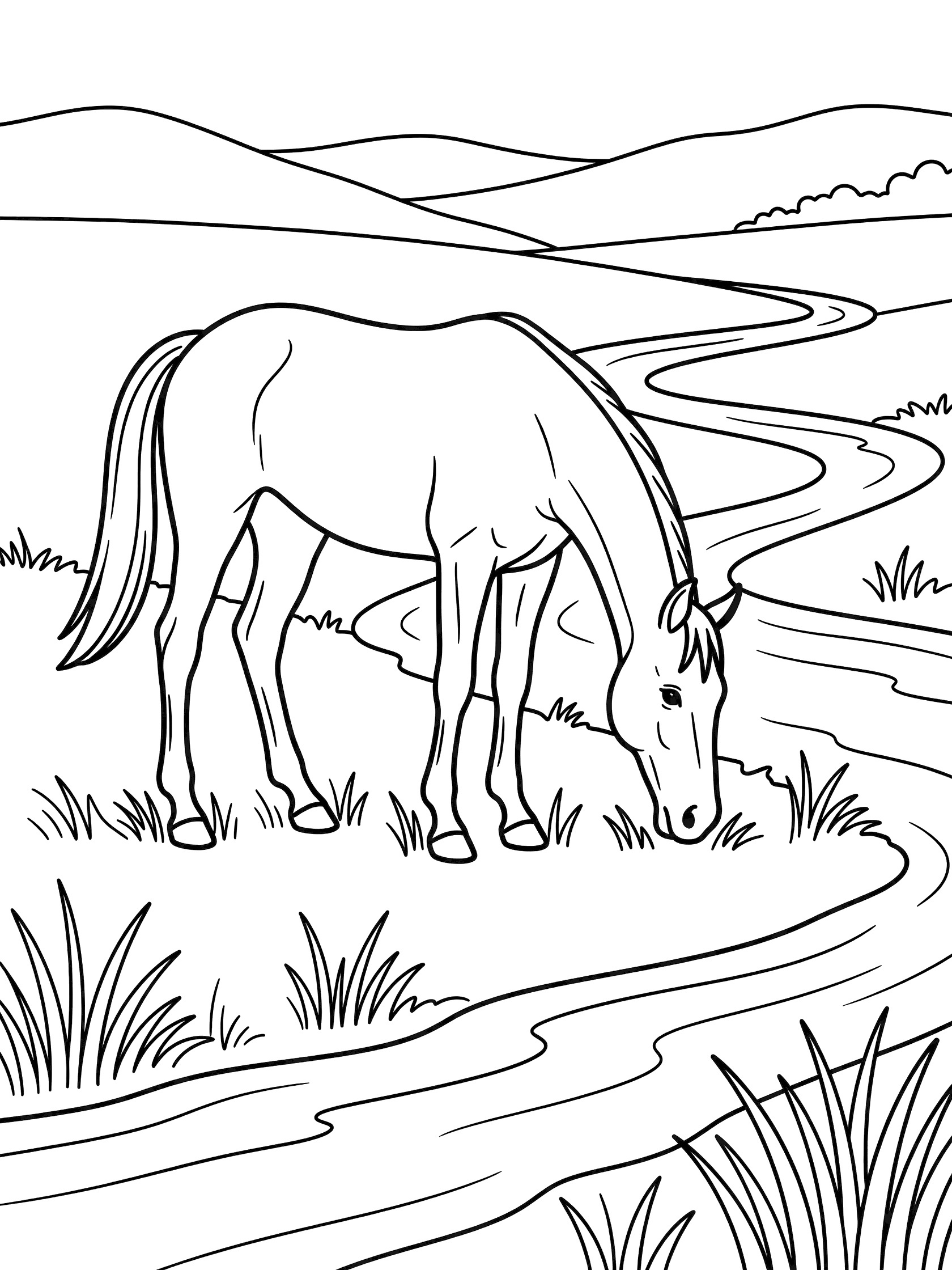 Black and white line art coloring page showing a horse grazing on grass beside a curving river and distant hills. Thoroughbred themed black and white printable line art