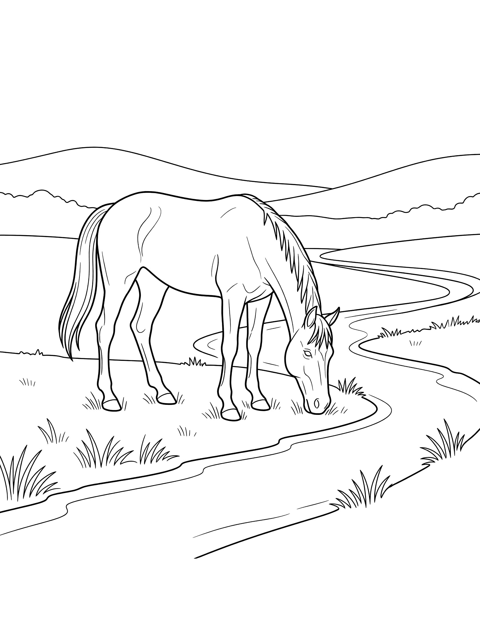Black and white line art coloring page showing a horse grazing on grass beside a curving river and distant hills. Thoroughbred themed black and white printable line art
