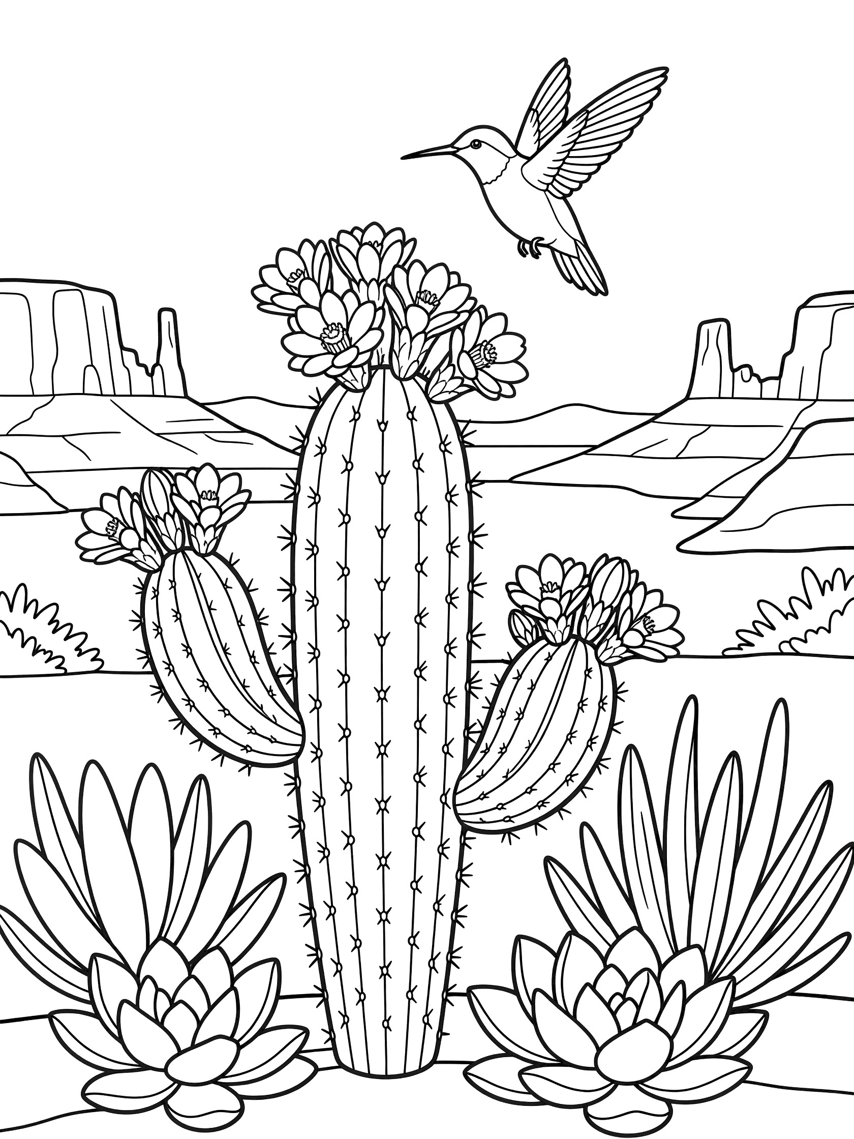 Printable coloring page showing a hummingbird flying by a spiny cactus with open flowers, surrounded by succulents and desert mesa landscape