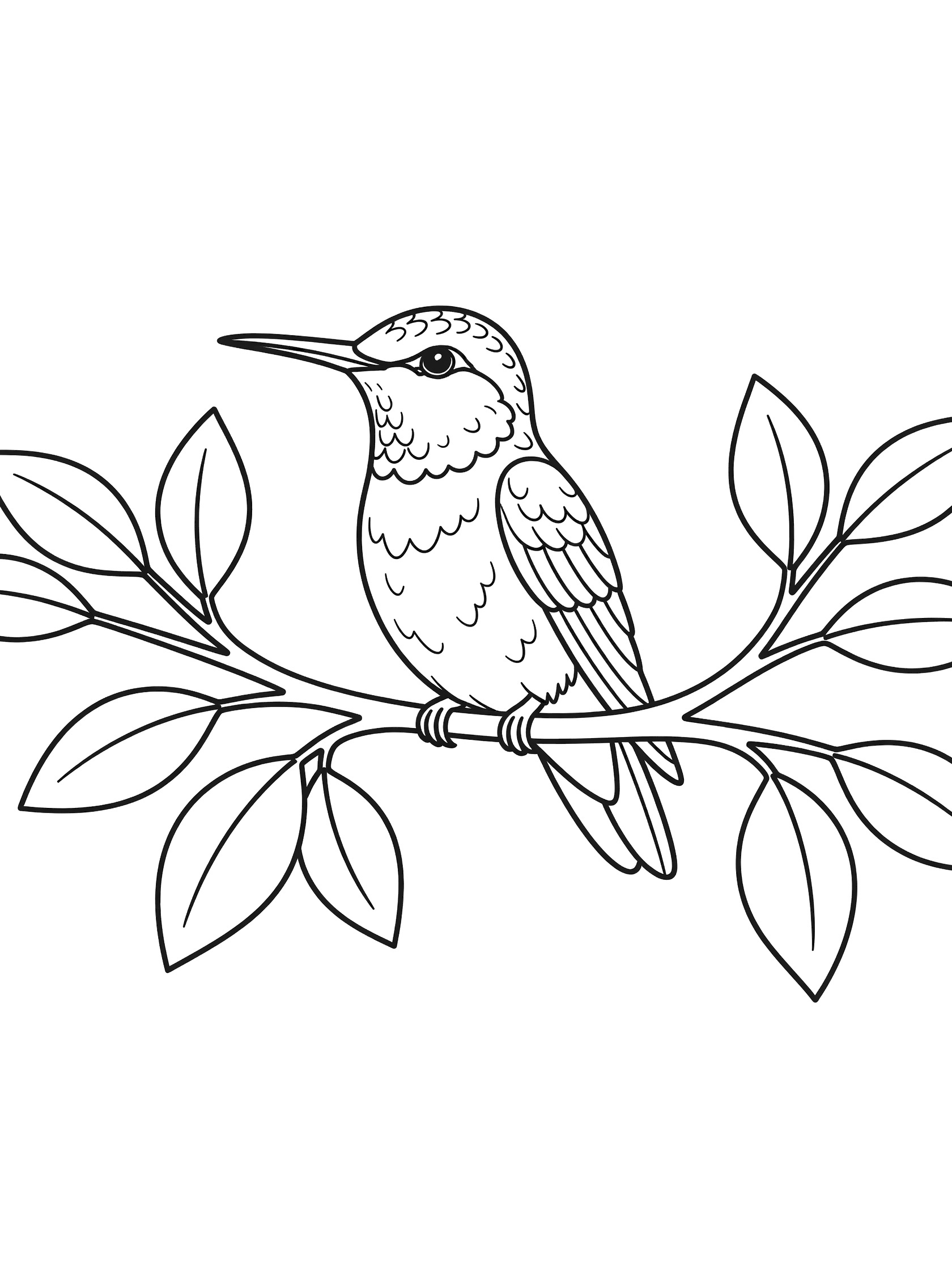 Black and white line drawing of a hummingbird sitting on a branch with leaves, printable coloring page for children