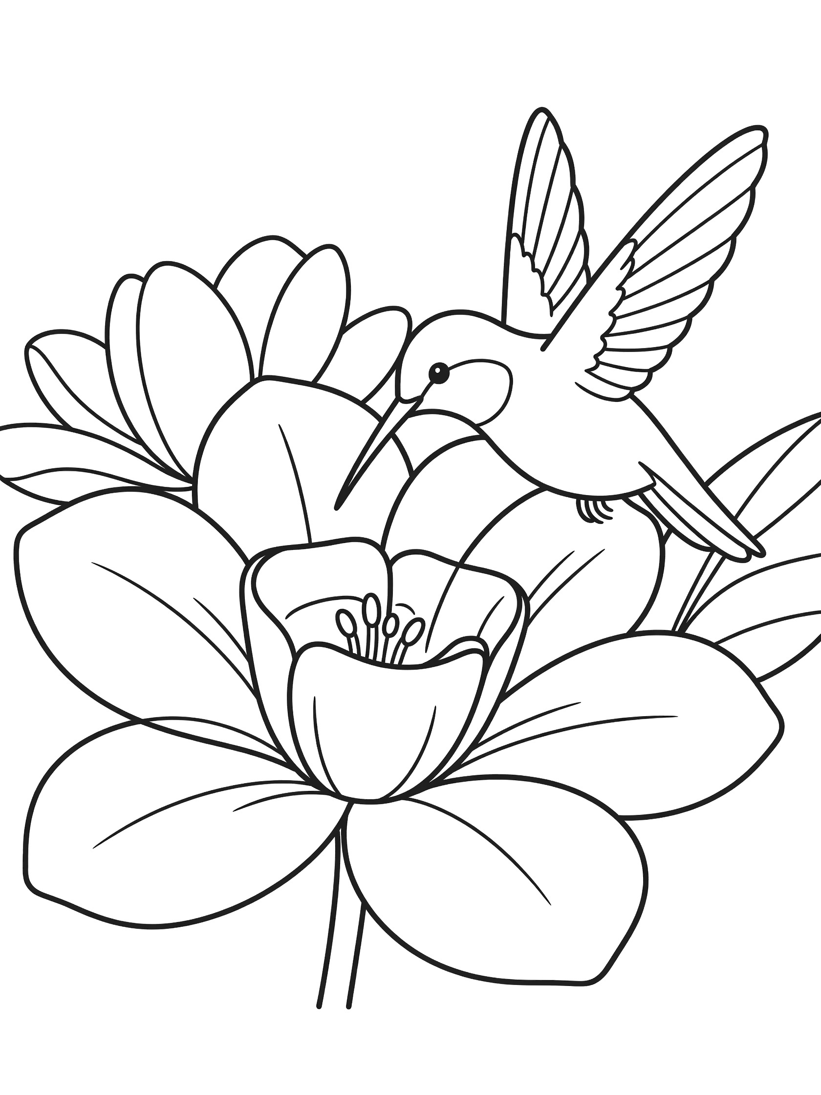 Black and white line art coloring page showing a hummingbird with wings spread hovering next to a large flower with petals and leaves.