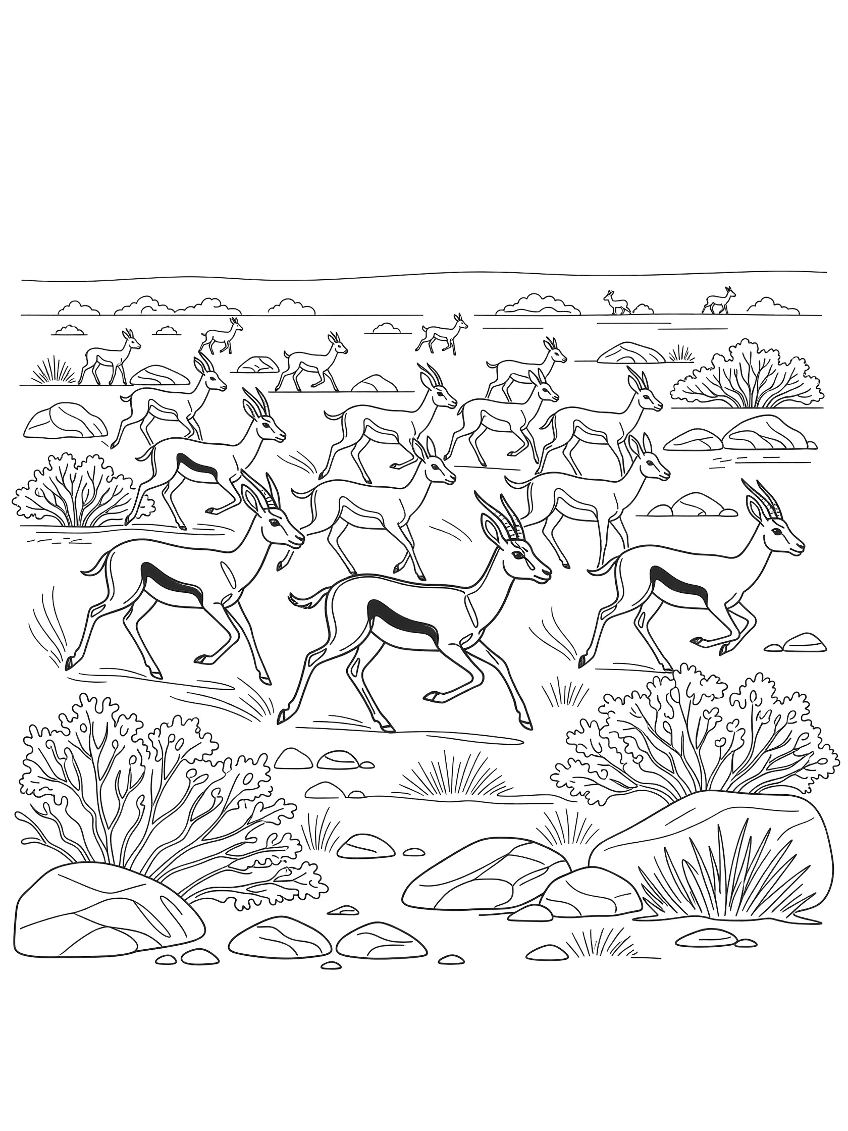 Black and white line art of a herd of impalas running across open savanna with scattered bushes and rocks, clean outlines for coloring. Gazelle themed black and white printable line art