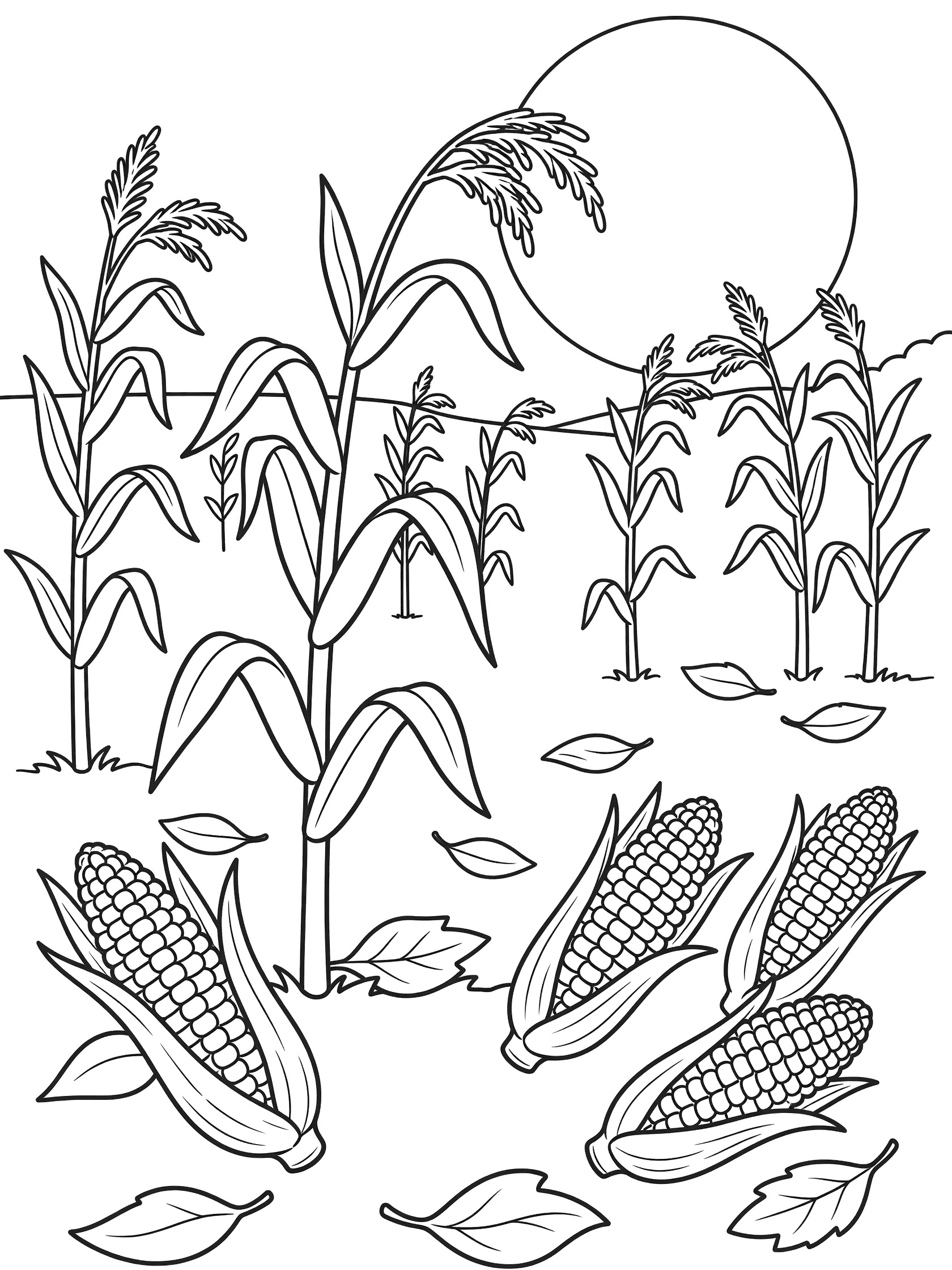 Black-and-white line art of Indian corn stalks in an autumn field with harvest moon, corn ears, husks, and fallen leaves.