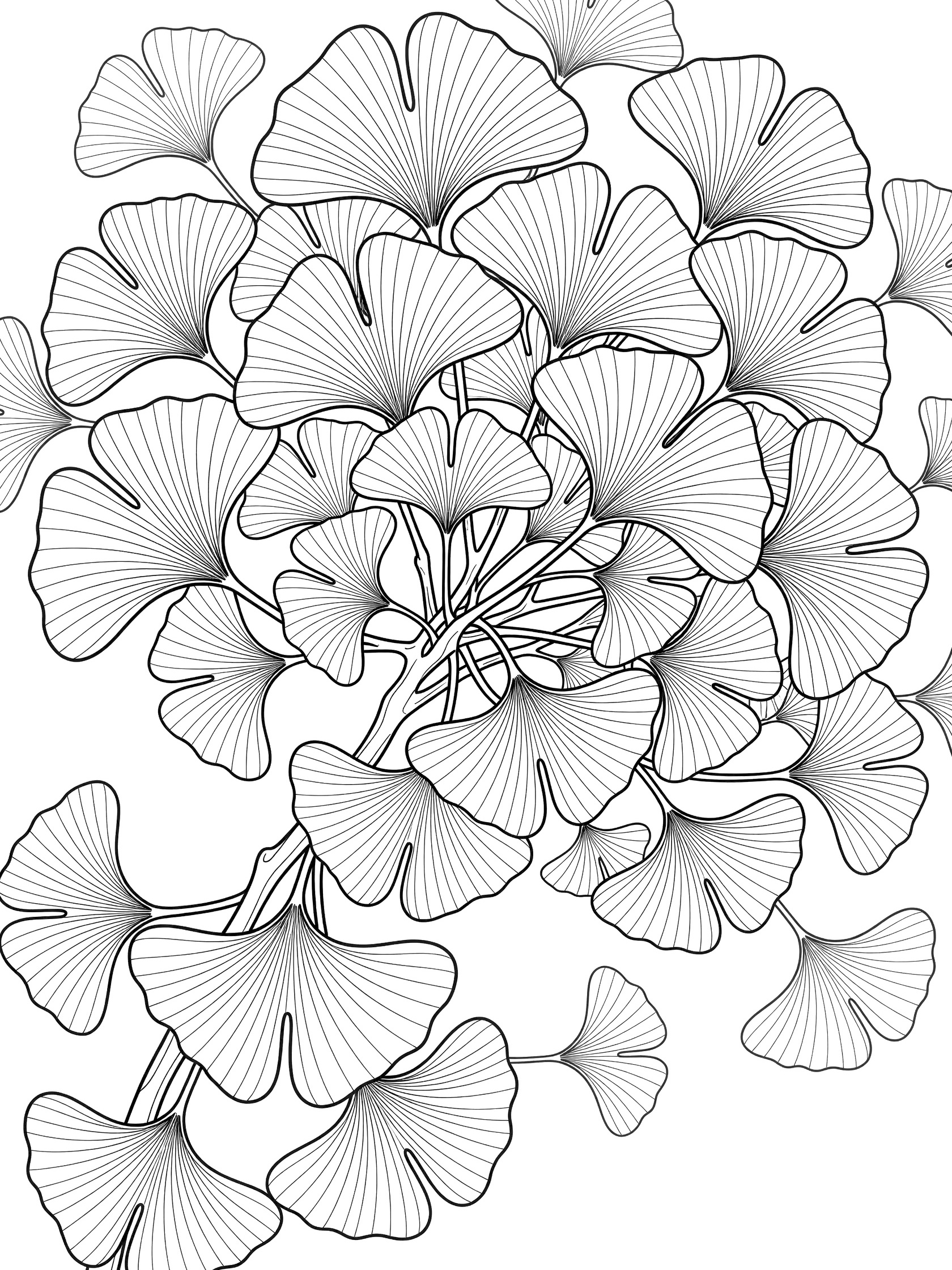 Detailed line art coloring page showing a cluster of fan-shaped ginkgo leaves intertwined around a tree branch with overlapping edges and veins.