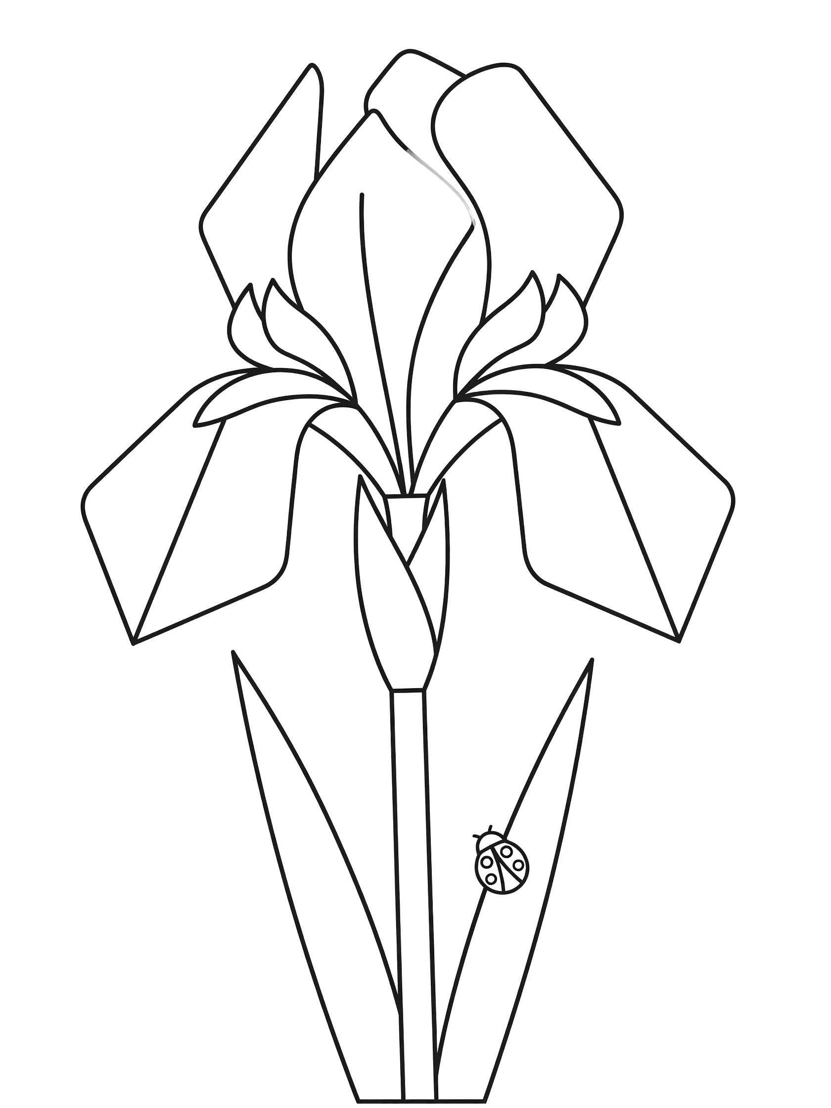 Black and white line art coloring page showing a tall iris flower with pointed petals, straight stem, long leaves, and a small ladybug perched on one leaf.