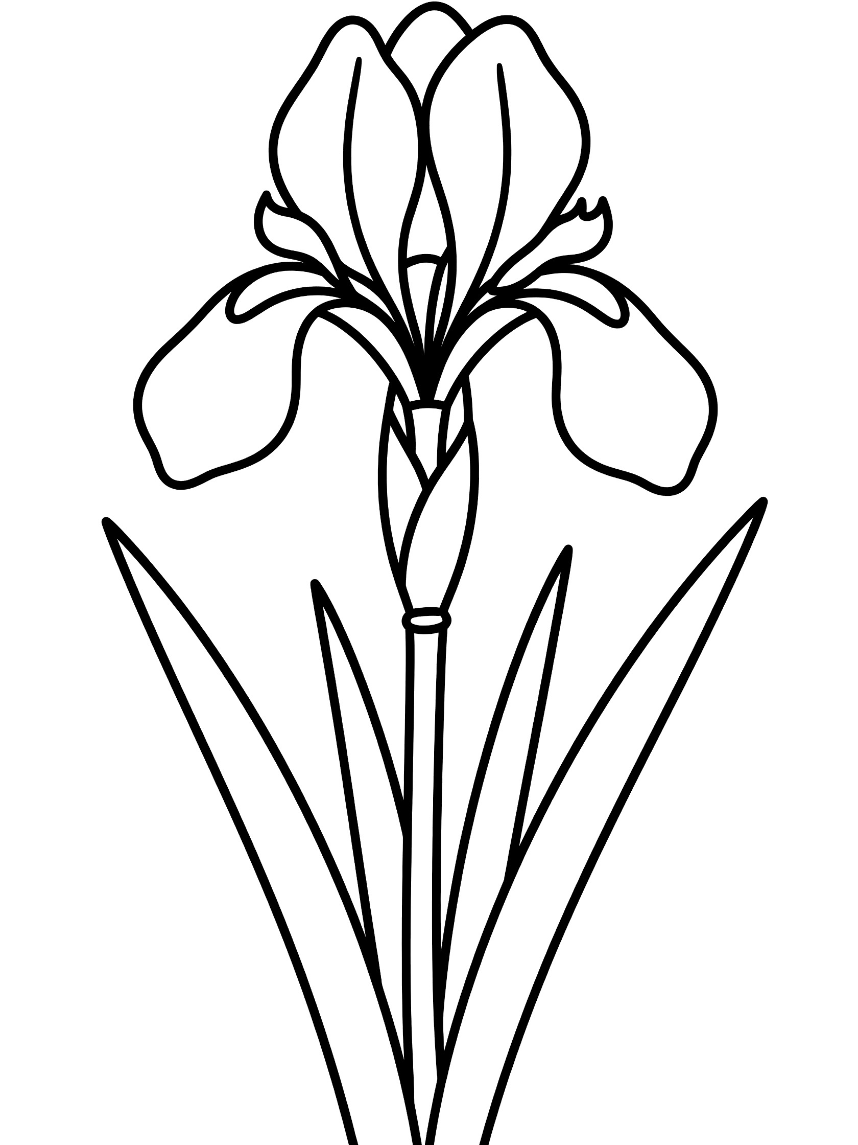 Black and white line art of a single iris flower on a tall stem with long leaves, fully enclosed shapes for easy coloring.