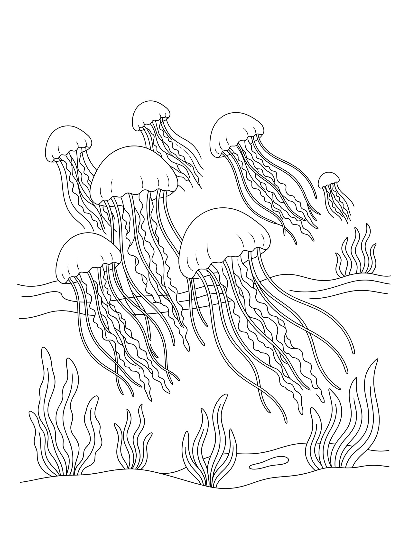 Black and white line art coloring page showing a group of jellyfish with flowing tentacles swimming above wavy seaweed and ocean floor.