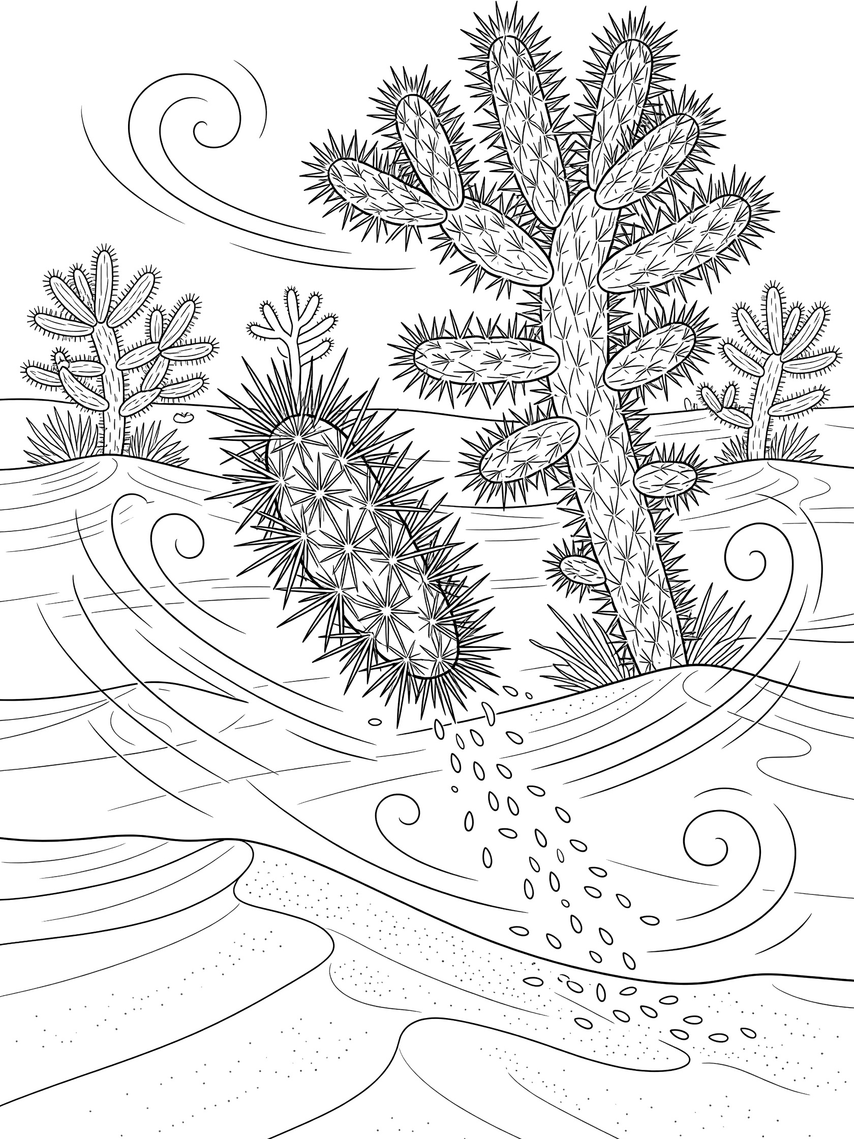 Printable coloring page showing a spiky jumping cholla cactus segment falling and scattering seeds in a windy desert scene with swirling winds and other cholla cacti.