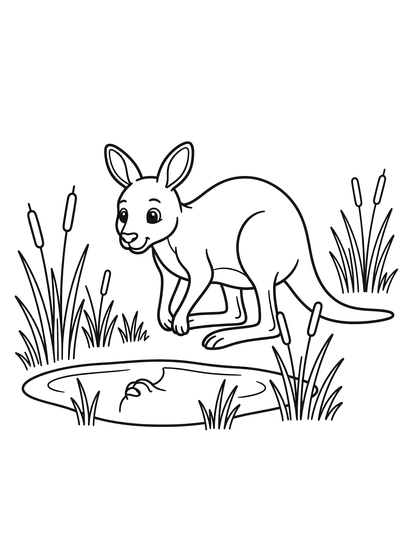 Black and white line drawing of a kangaroo leaning down to drink from a small pond surrounded by reeds, coloring book style.