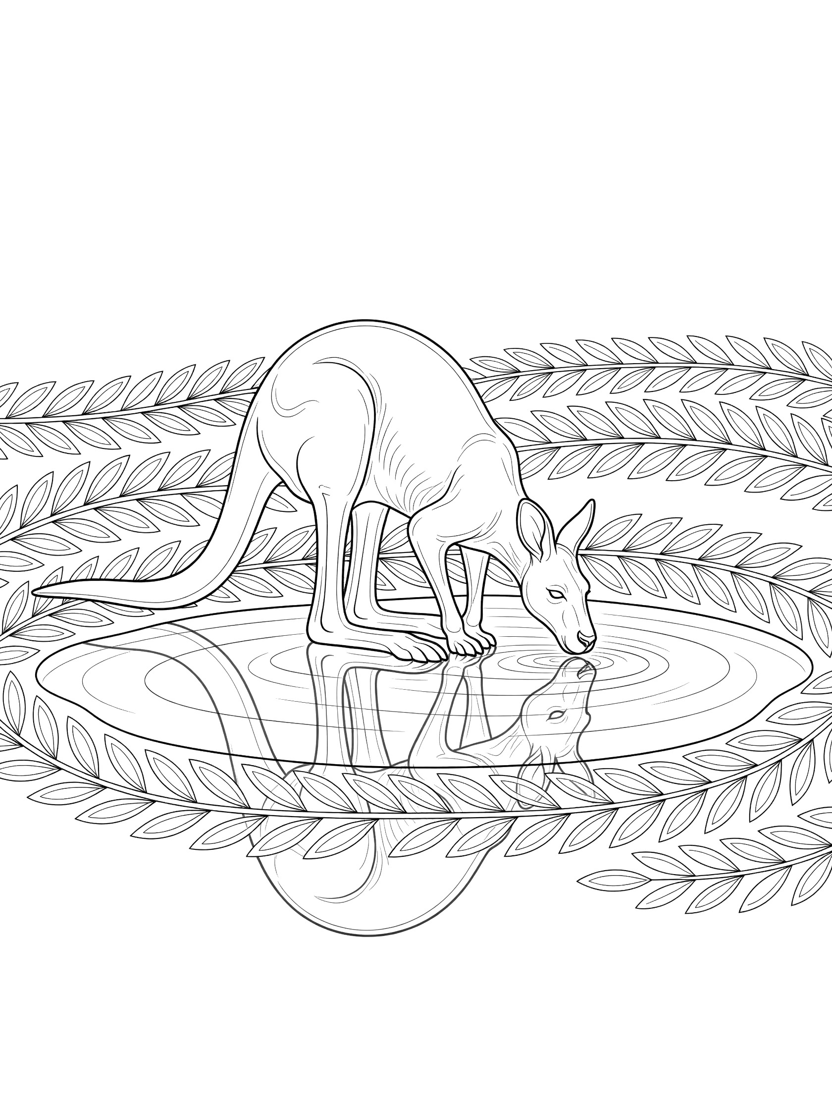 Black and white line art coloring page showing a kangaroo bending to drink from a round pond, with its reflection in the water and leaf patterns around the edges.