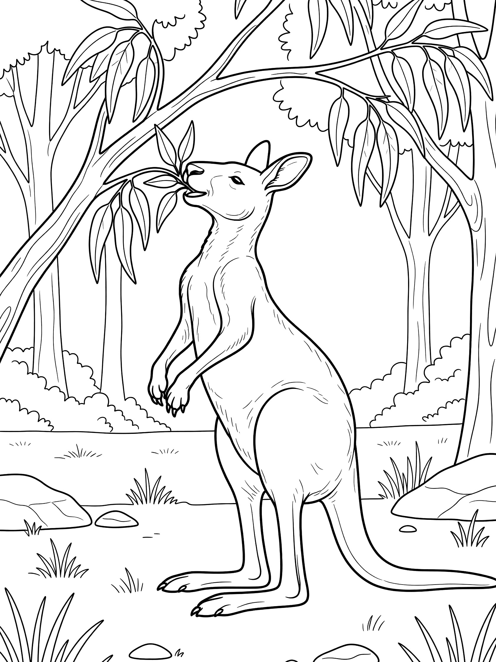Black and white coloring page of a kangaroo standing on hind legs eating leaves from a eucalyptus branch in a forest with trees, rocks, and grass.