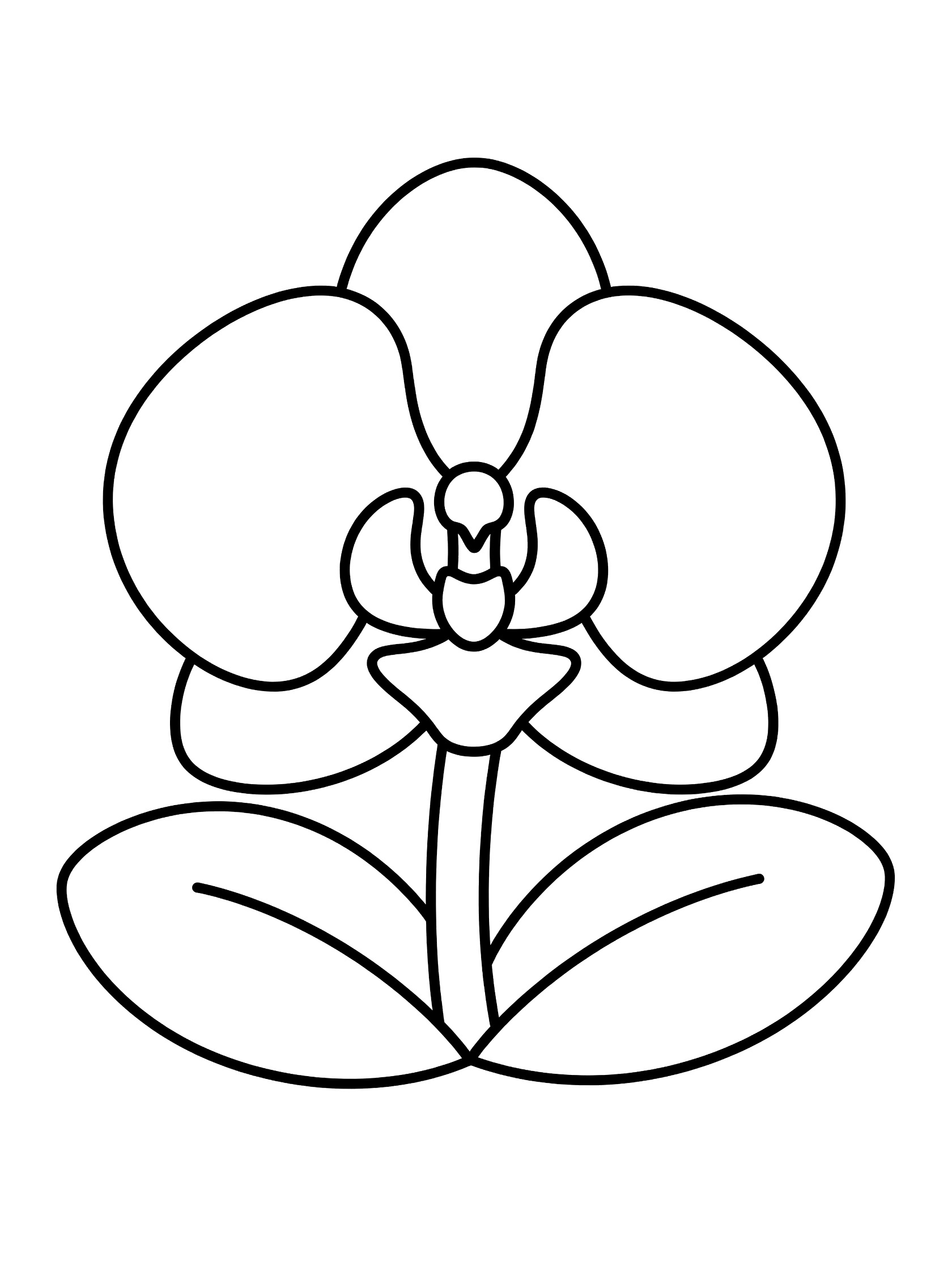 Black and white line drawing of a cute kawaii orchid flower with plump rounded petals, short stubby stem, and two rounded leaves at the base.