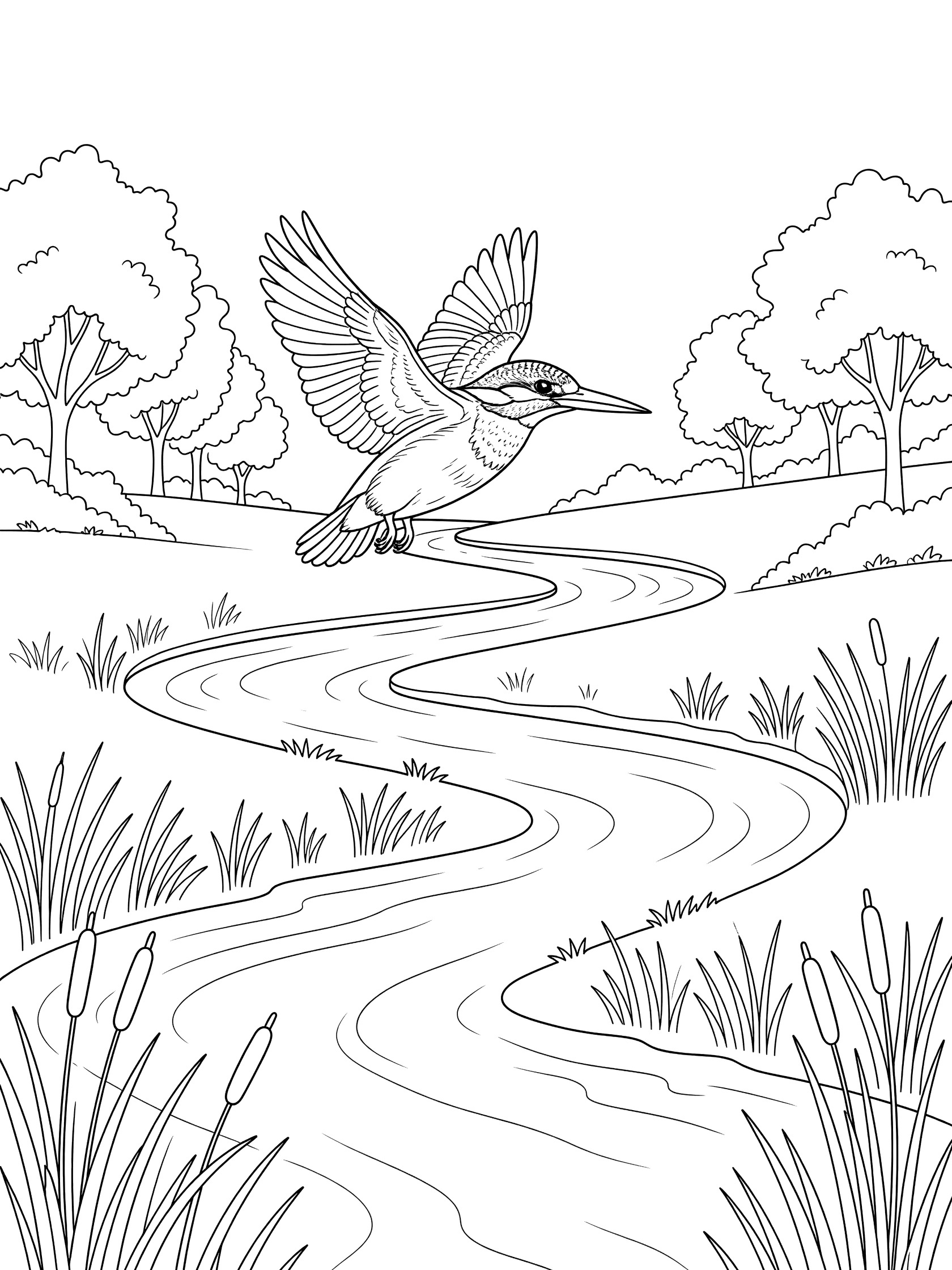 Black and white line art coloring page showing a kingfisher bird with wings spread flying above a curving stream surrounded by reeds and trees.