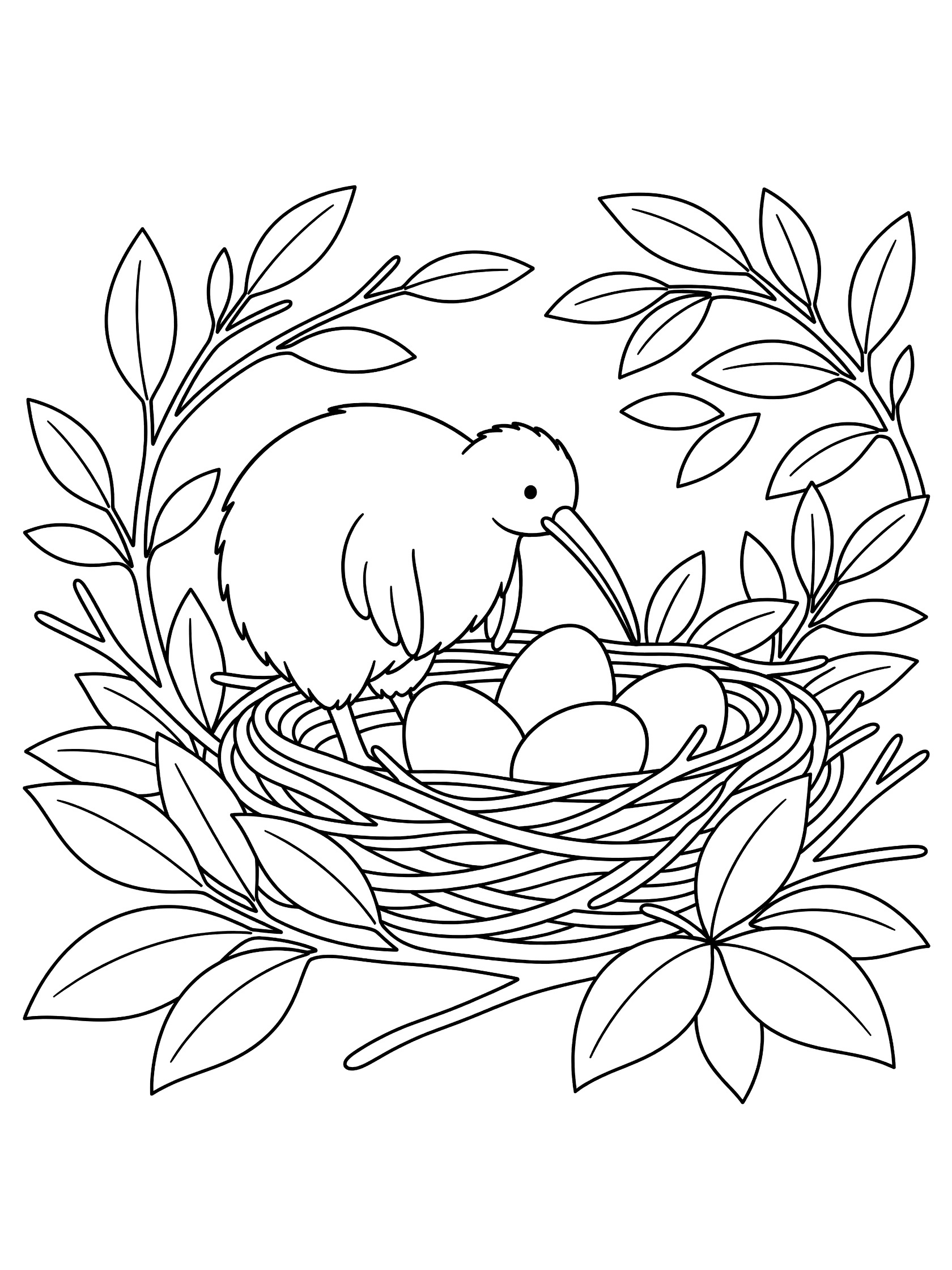 Line art coloring page showing a fluffy kiwi bird standing beside a woven nest holding large eggs, with leaves and branches around it.