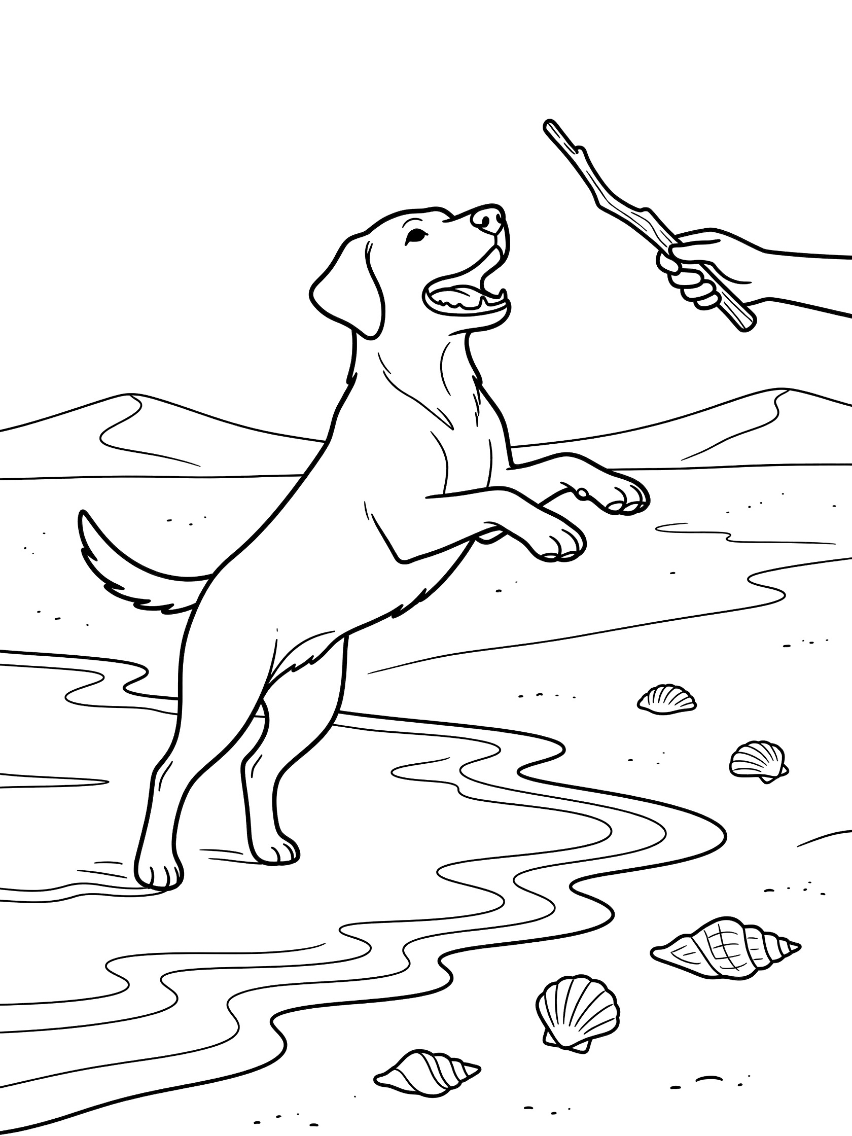 Black and white line art coloring page showing a Labrador dog leaping with open mouth to catch a stick held by a hand, on sandy beach with gentle waves, seashells, and distant dunes.
