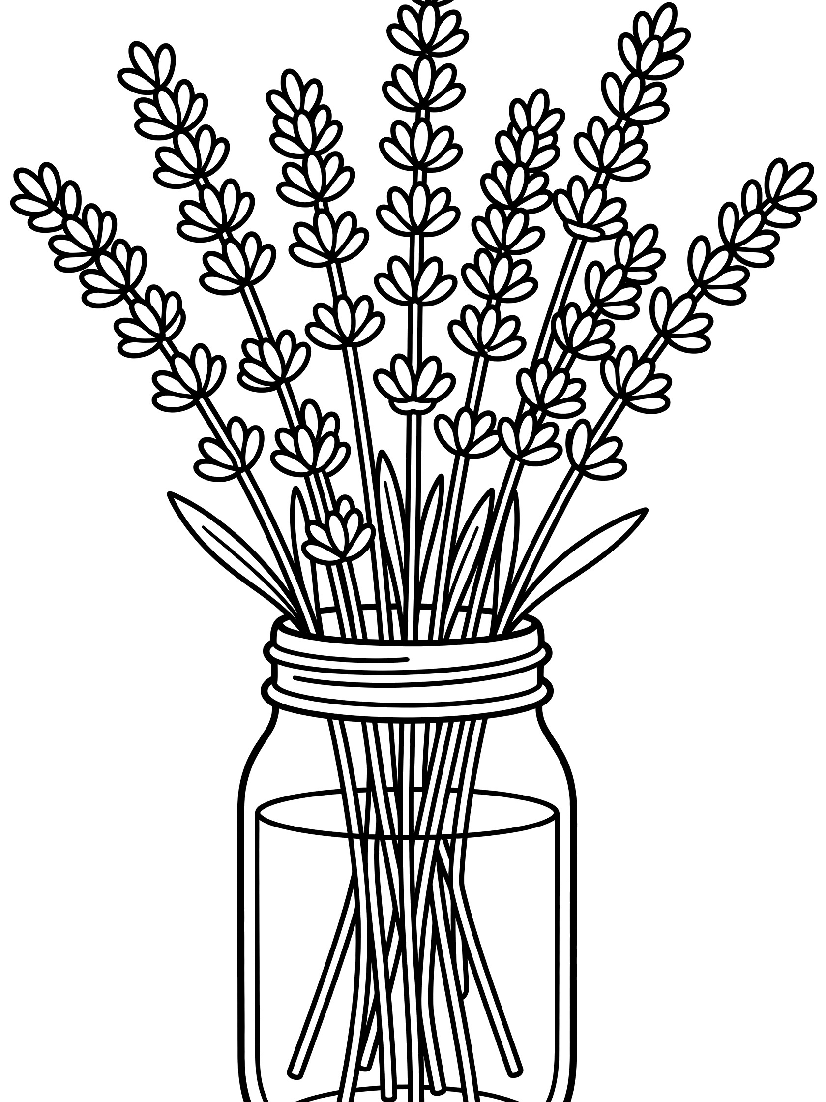 Black line art coloring page showing multiple sprigs of lavender flowers arranged in a clear mason jar with stems and leaves. Bouquets themed black and white printable line art