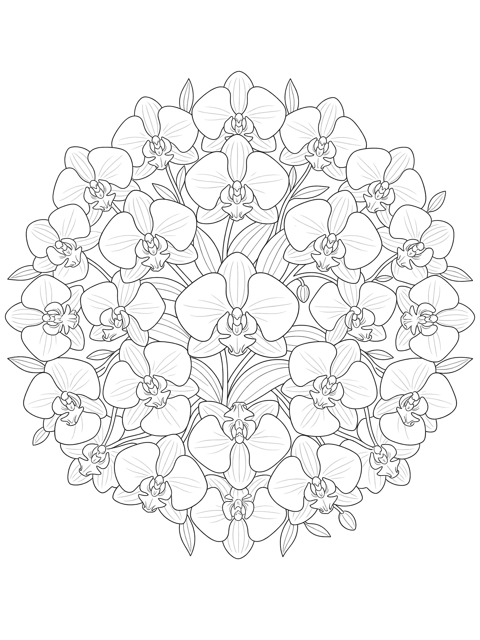 Black and white line art of a symmetrical Orchid Mandala featuring layered orchid flowers with petals, stems, and leaves radiating from the center.