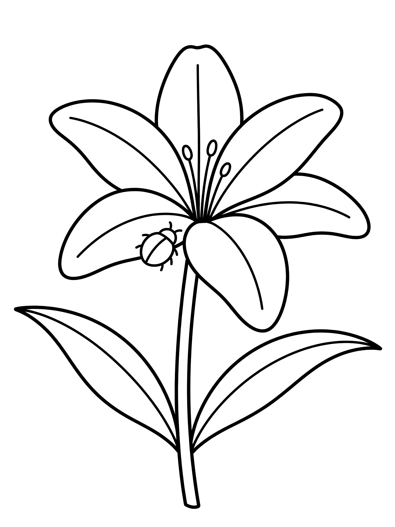 Black and white line drawing of a single lily flower with curved petals, a ladybug on one petal, long stem, and two broad leaves at the base.