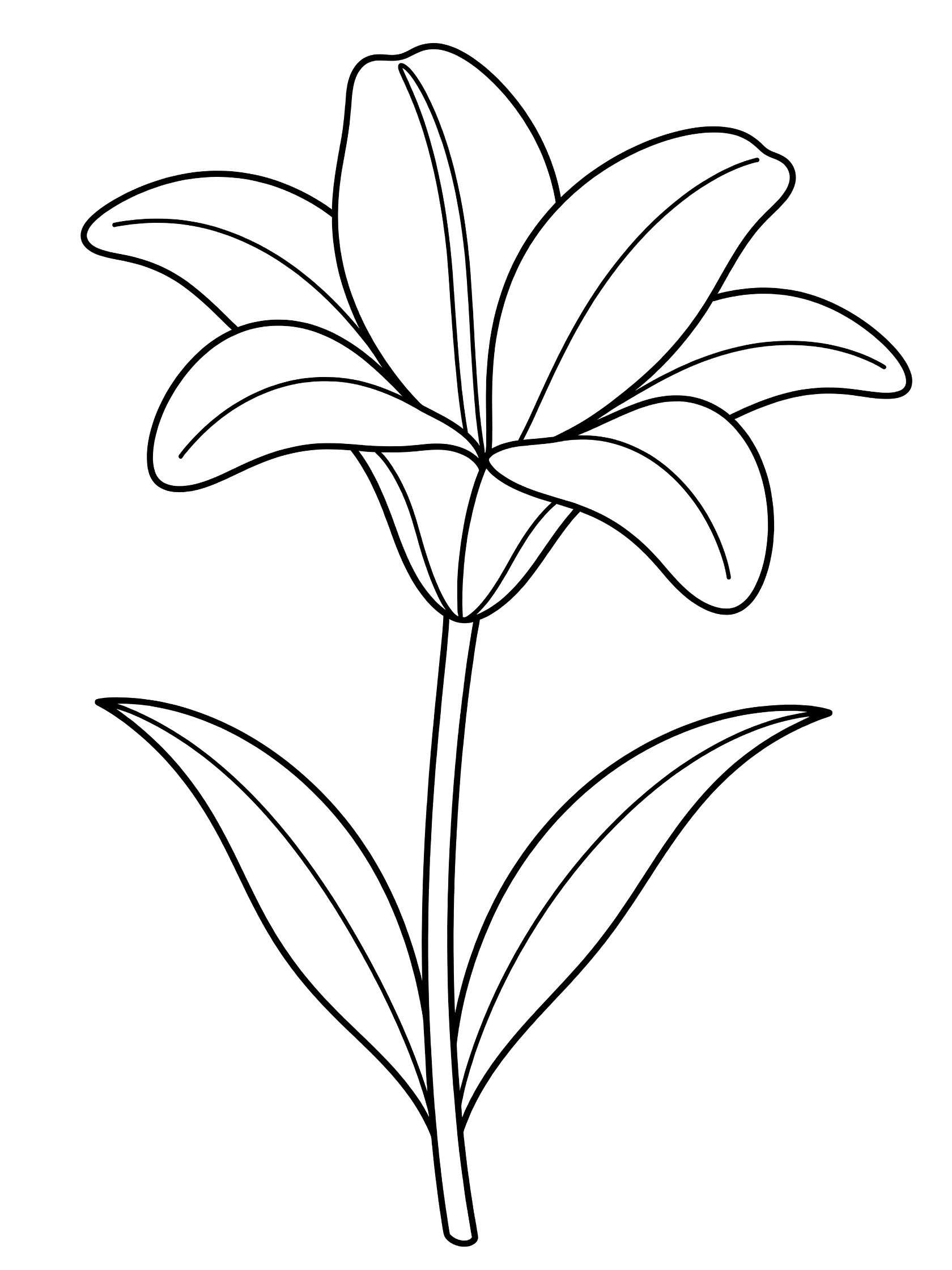 Black and white coloring page of a single upright lily flower with curving petals, thin stem, and two broad leaves at the base